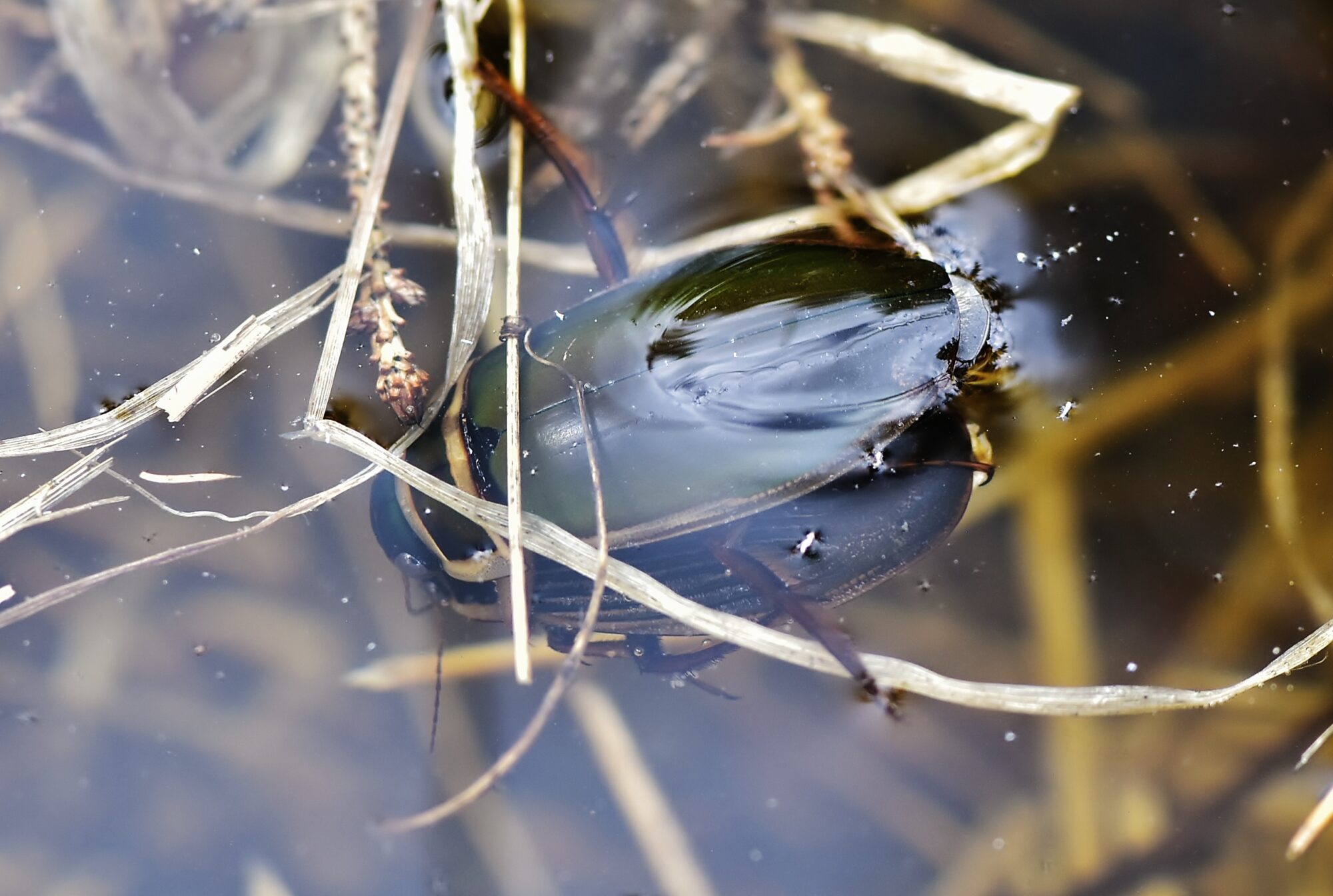 Valokuvaaja: Markku Pelkonen
