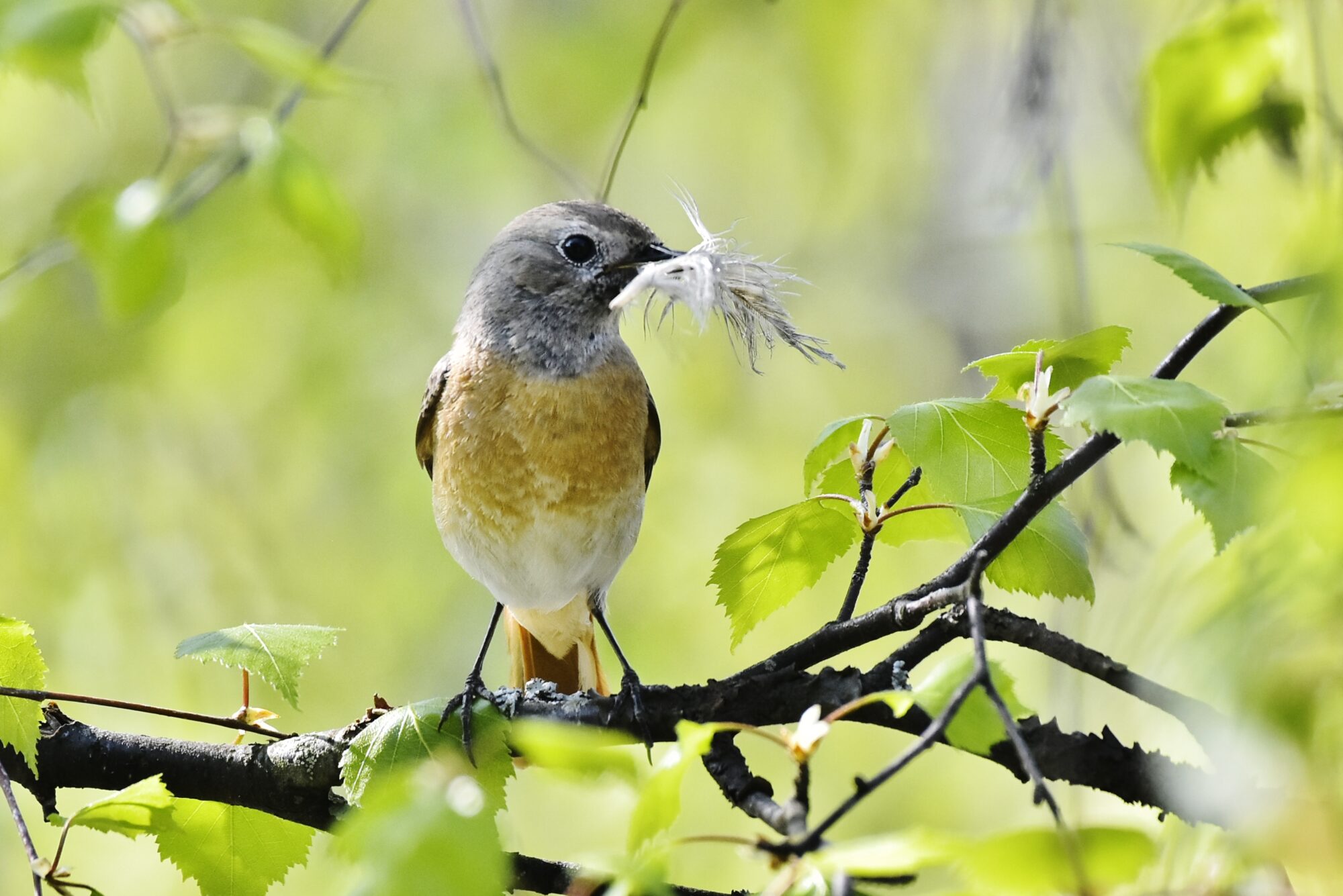 Valokuvaaja: Markku Pelkonen