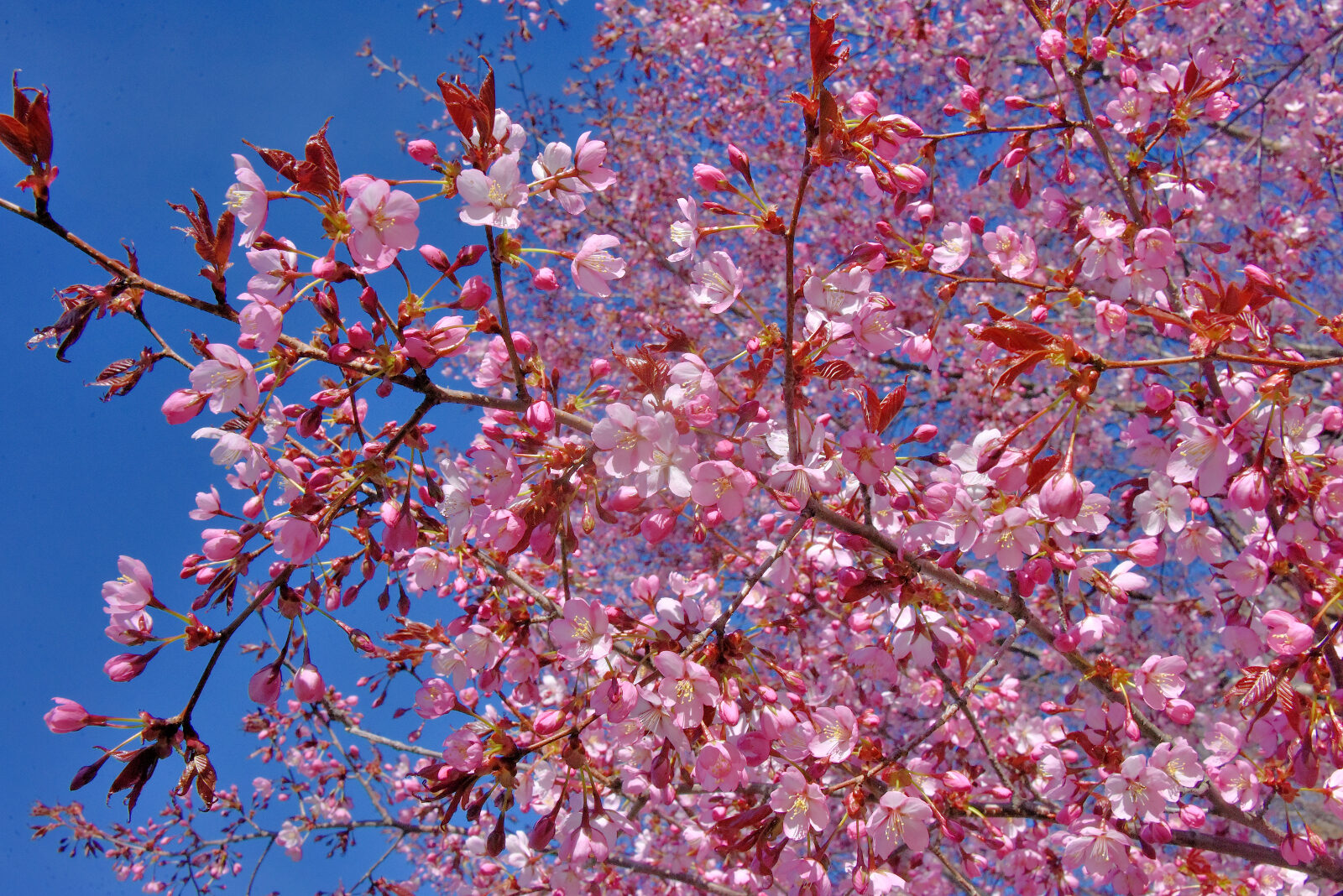 Valokuvaaja: Reijo Juurinen