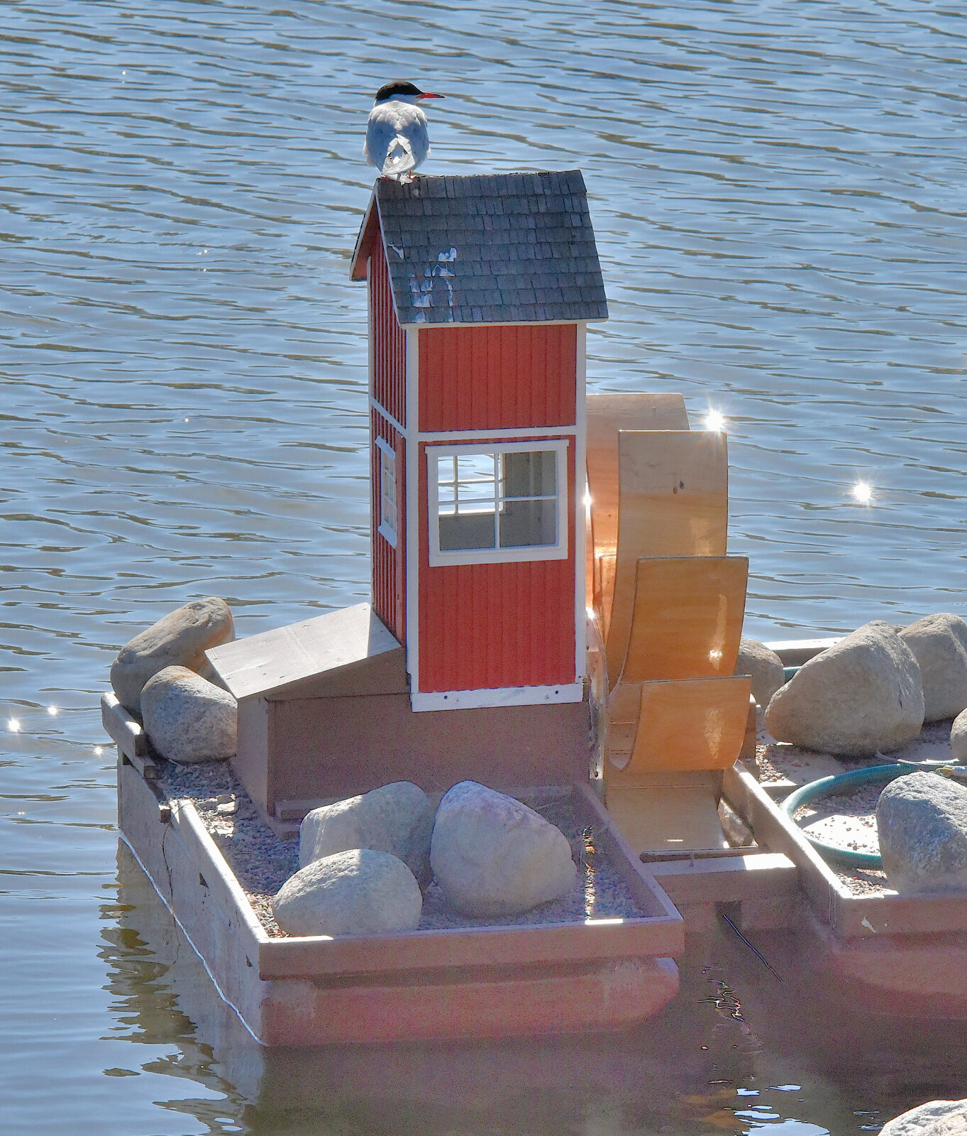 Valokuvaaja: Reijo Juurinen
