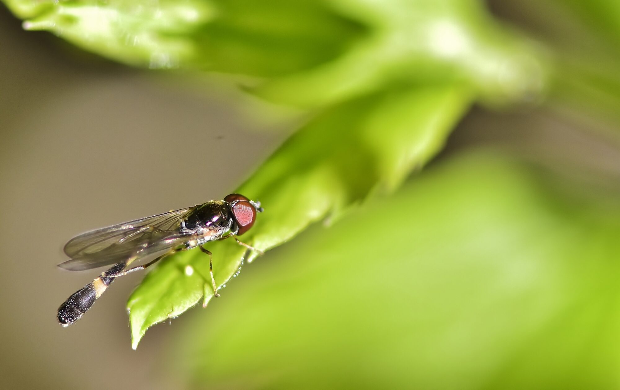 Valokuvaaja: Markku Pelkonen