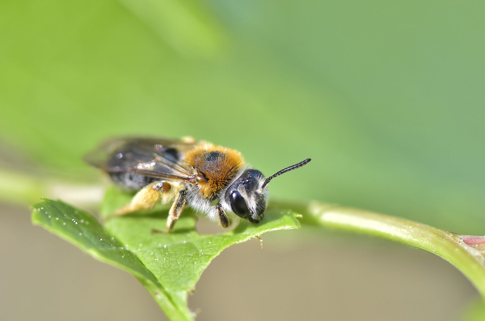 Valokuvaaja: Markku Pelkonen