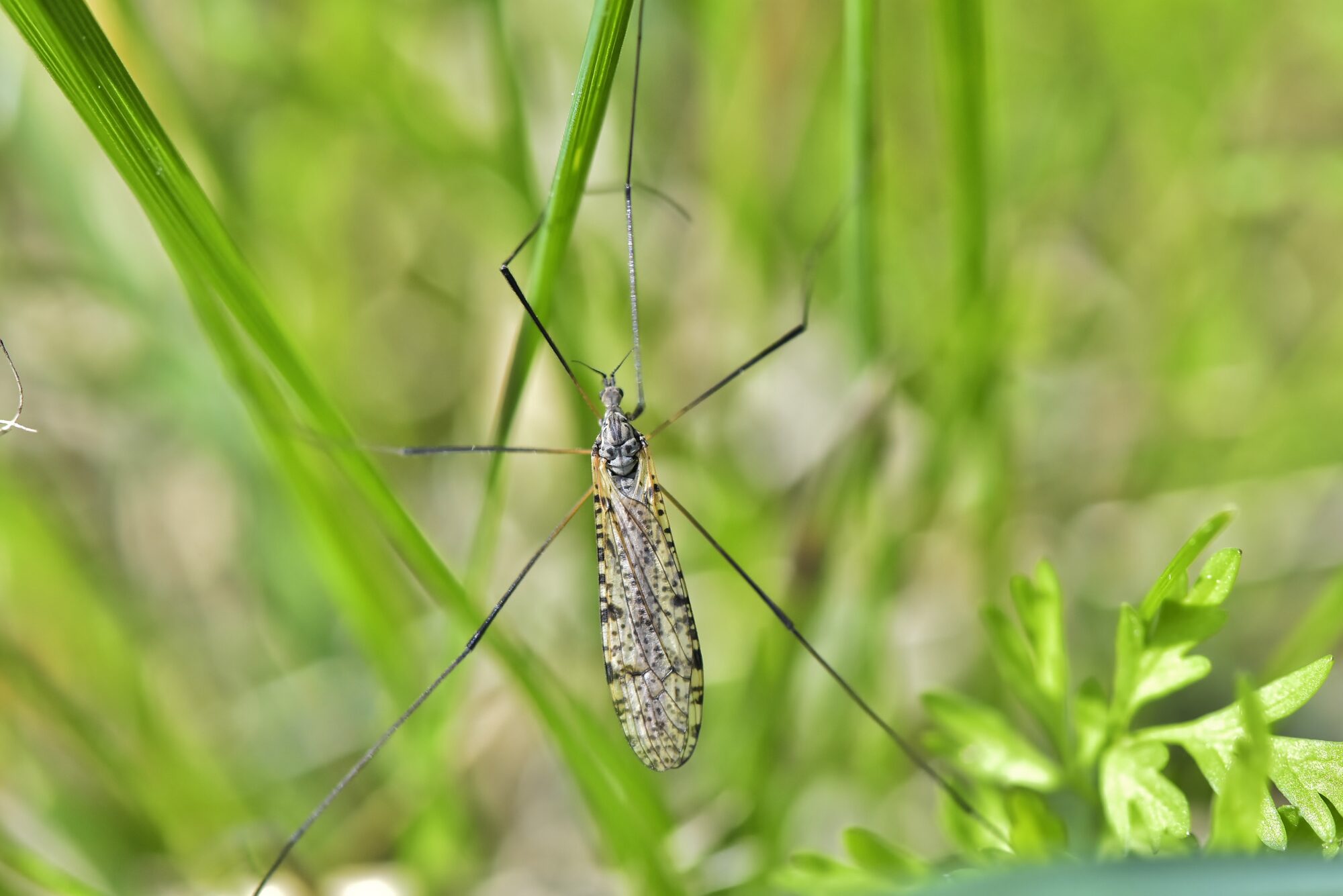 Valokuvaaja: Markku Pelkonen
