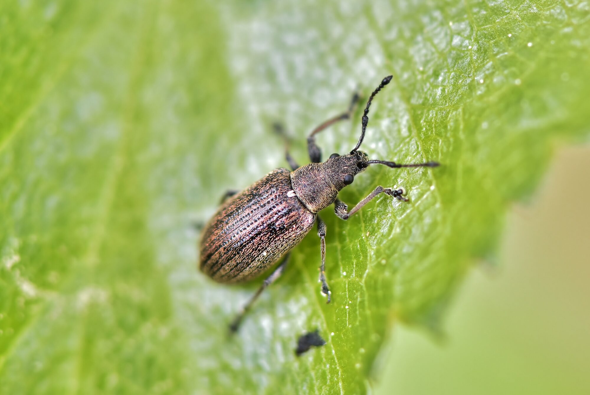 Valokuvaaja: Markku Pelkonen