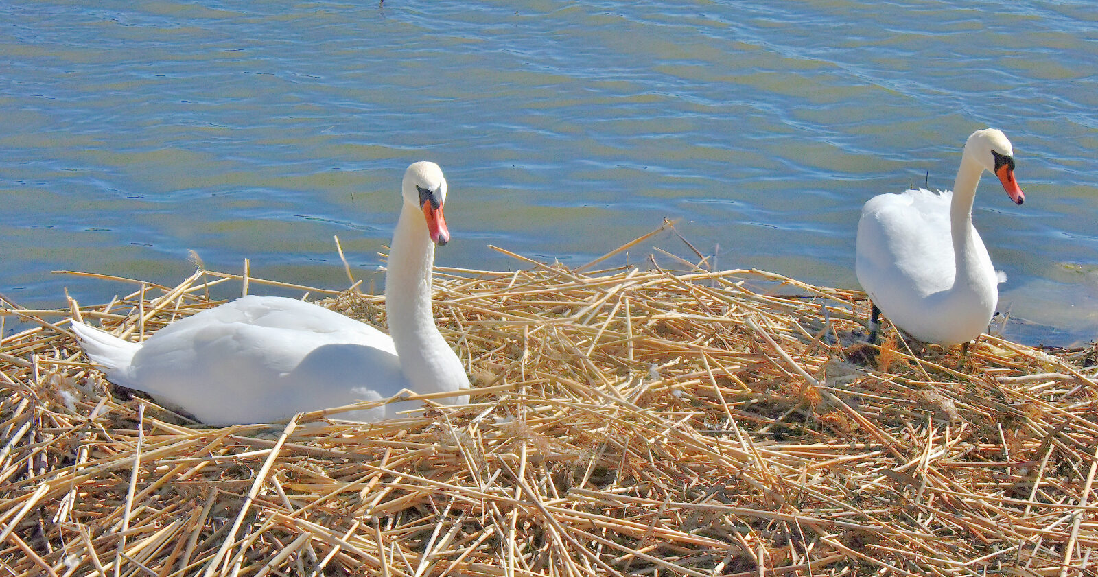 Valokuvaaja: Reijo Juurinen