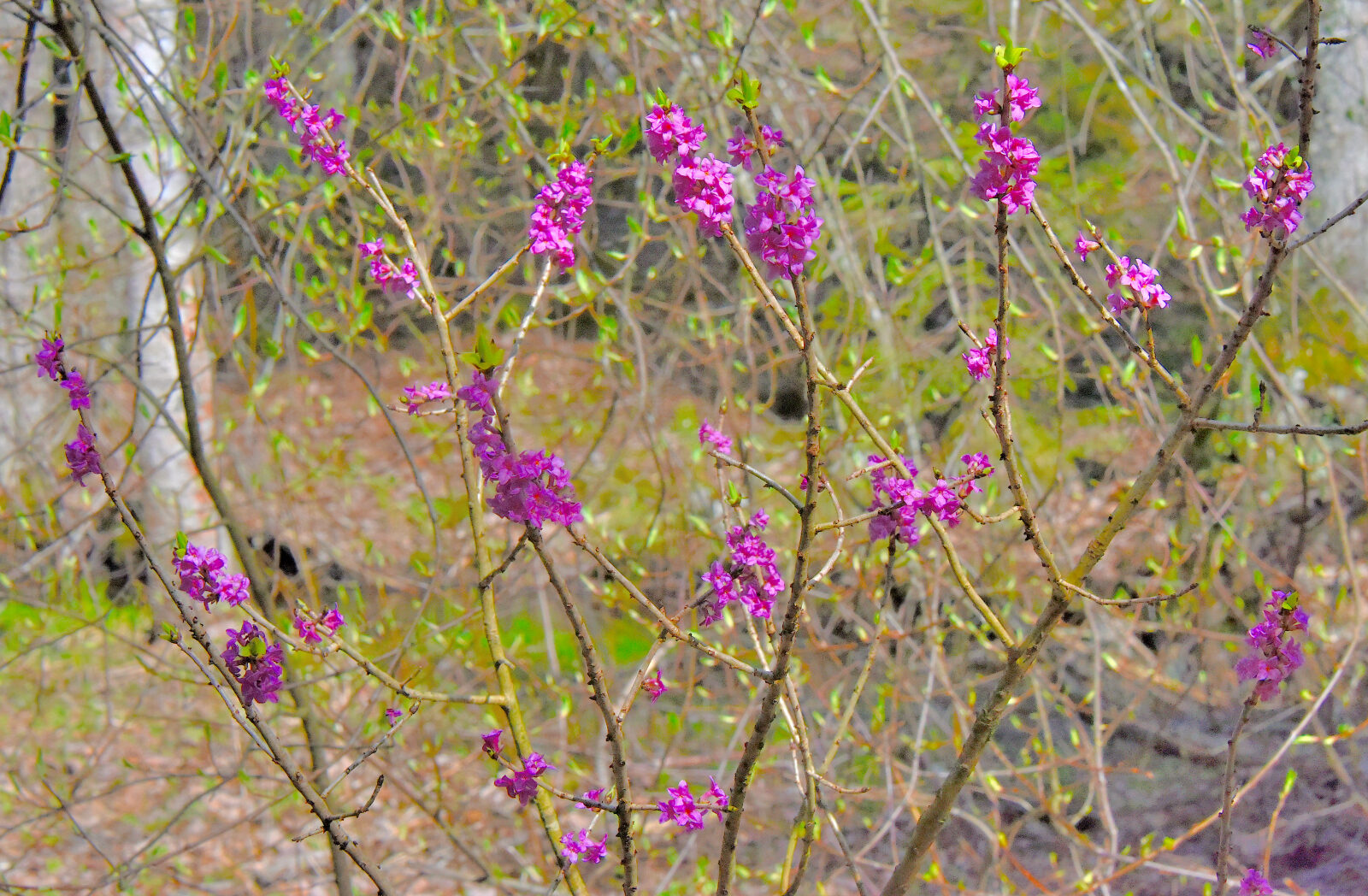 Valokuvaaja: Reijo Juurinen