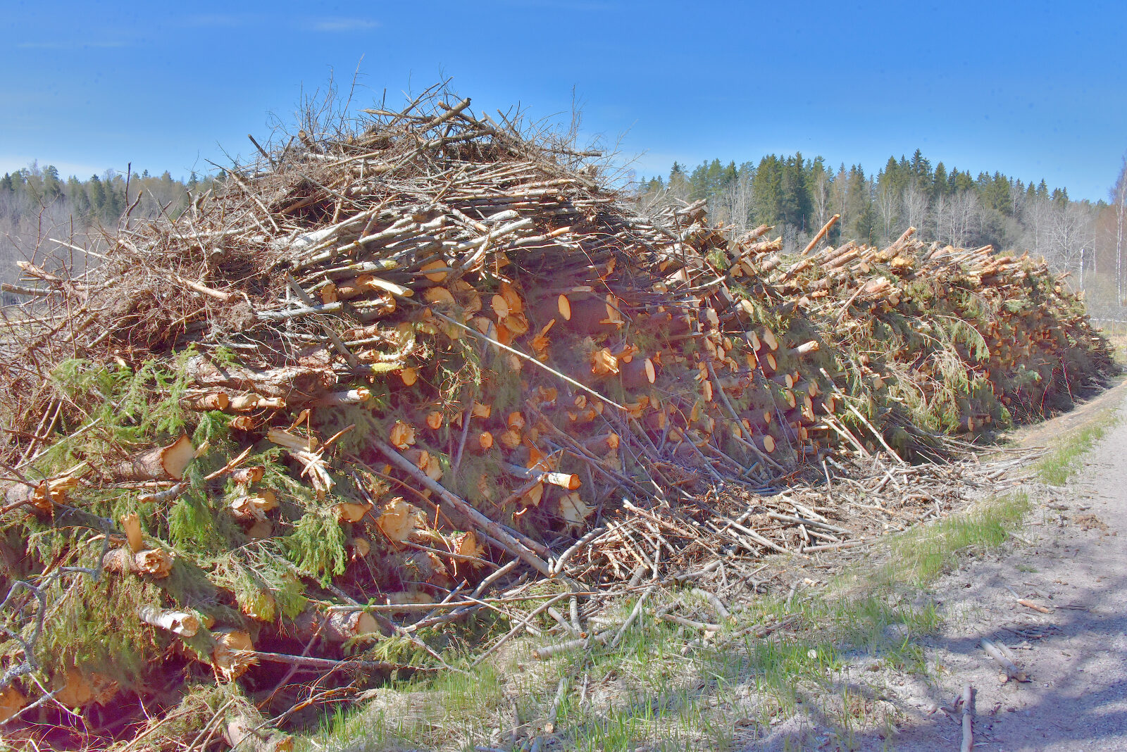 Valokuvaaja: Reijo Juurinen
