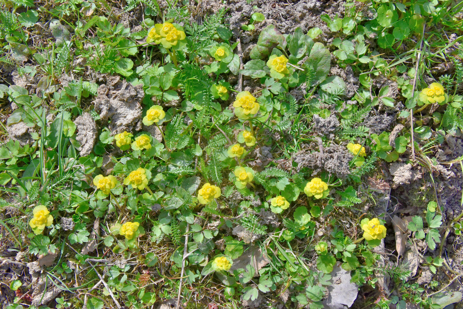 Valokuvaaja: Reijo Juurinen