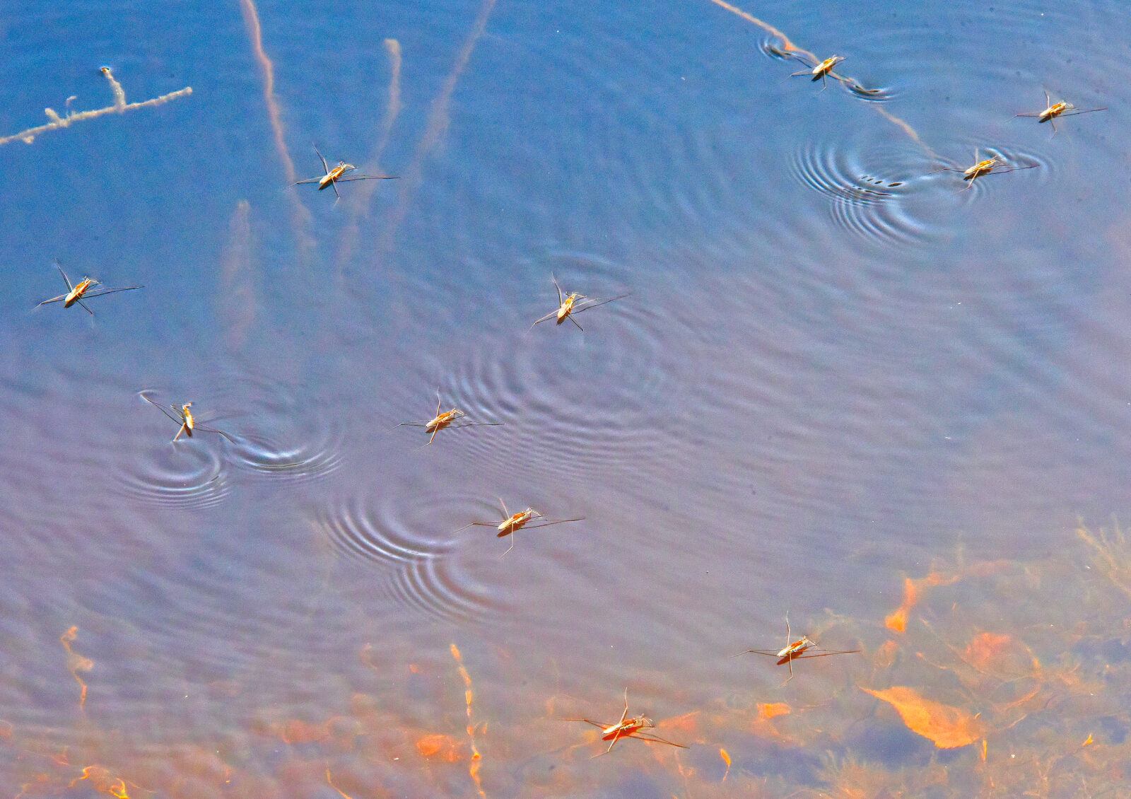 Valokuvaaja: Reijo Juurinen