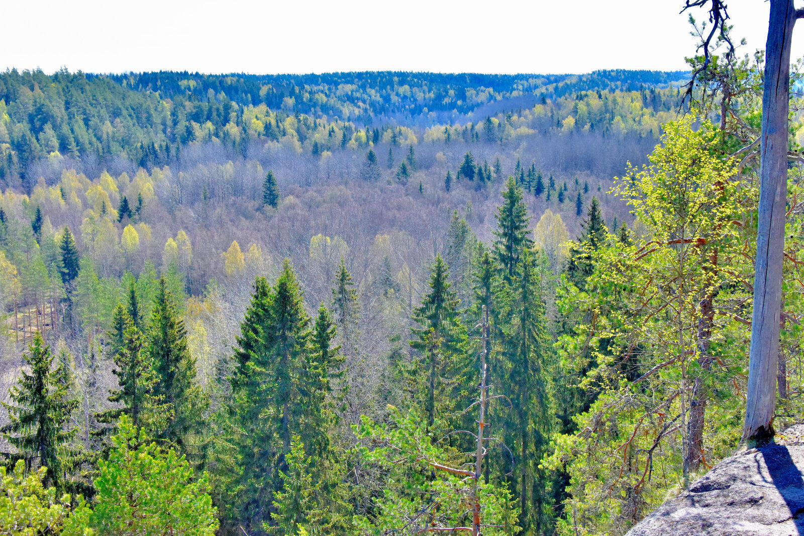 Valokuvaaja: Reijo Juurinen