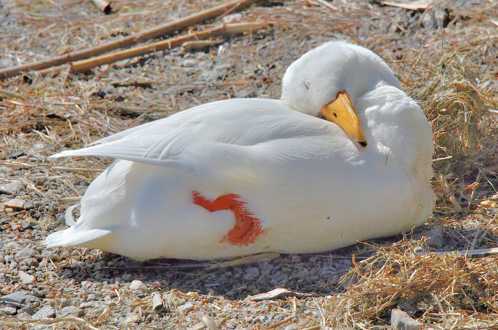 Valokuvaaja: Reijo Juurinen