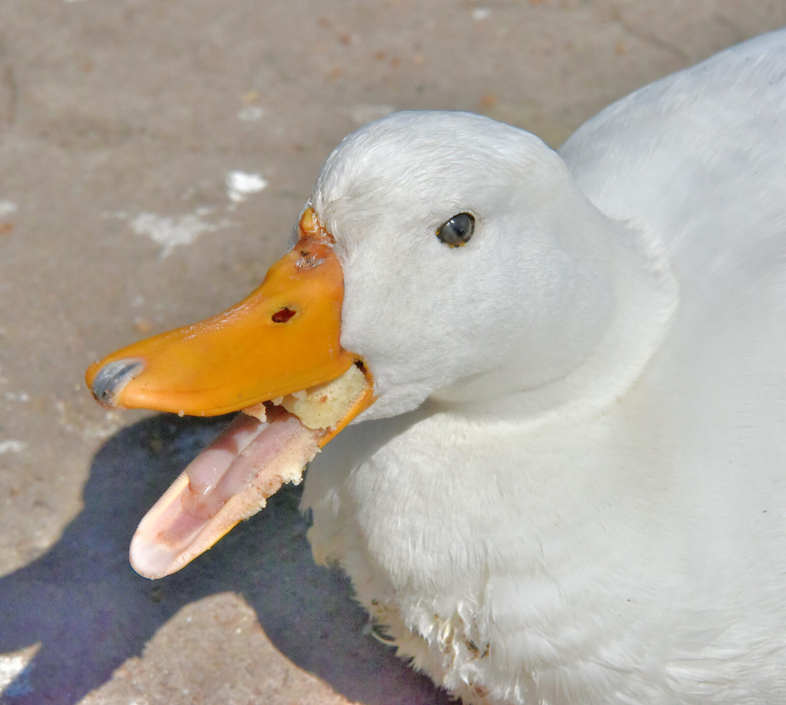 Valokuvaaja: Reijo Juurinen
