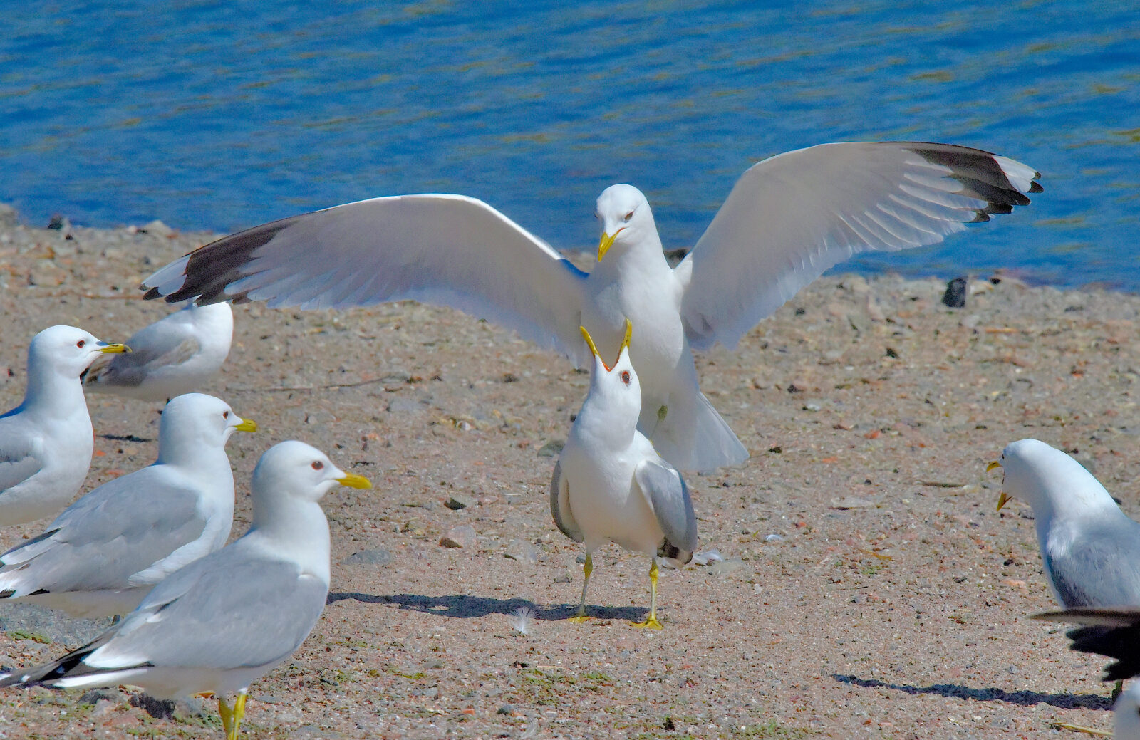 Valokuvaaja: Reijo Juurinen