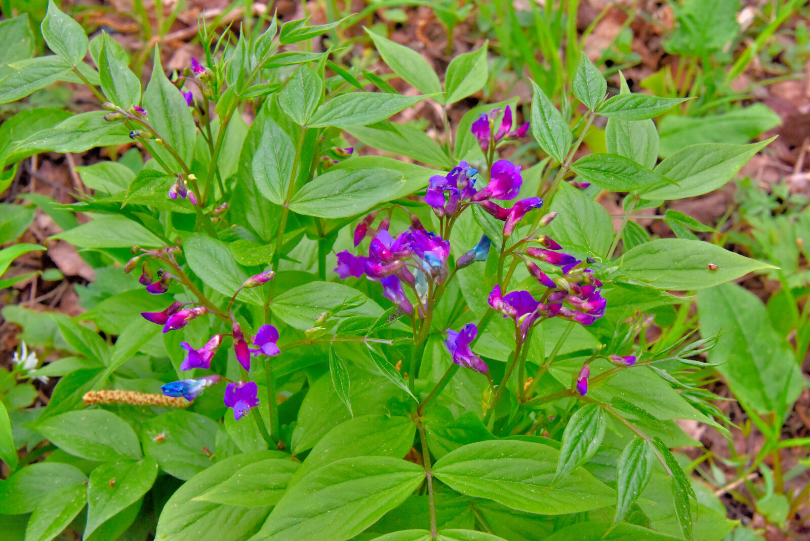 Valokuvaaja: Reijo Juurinen