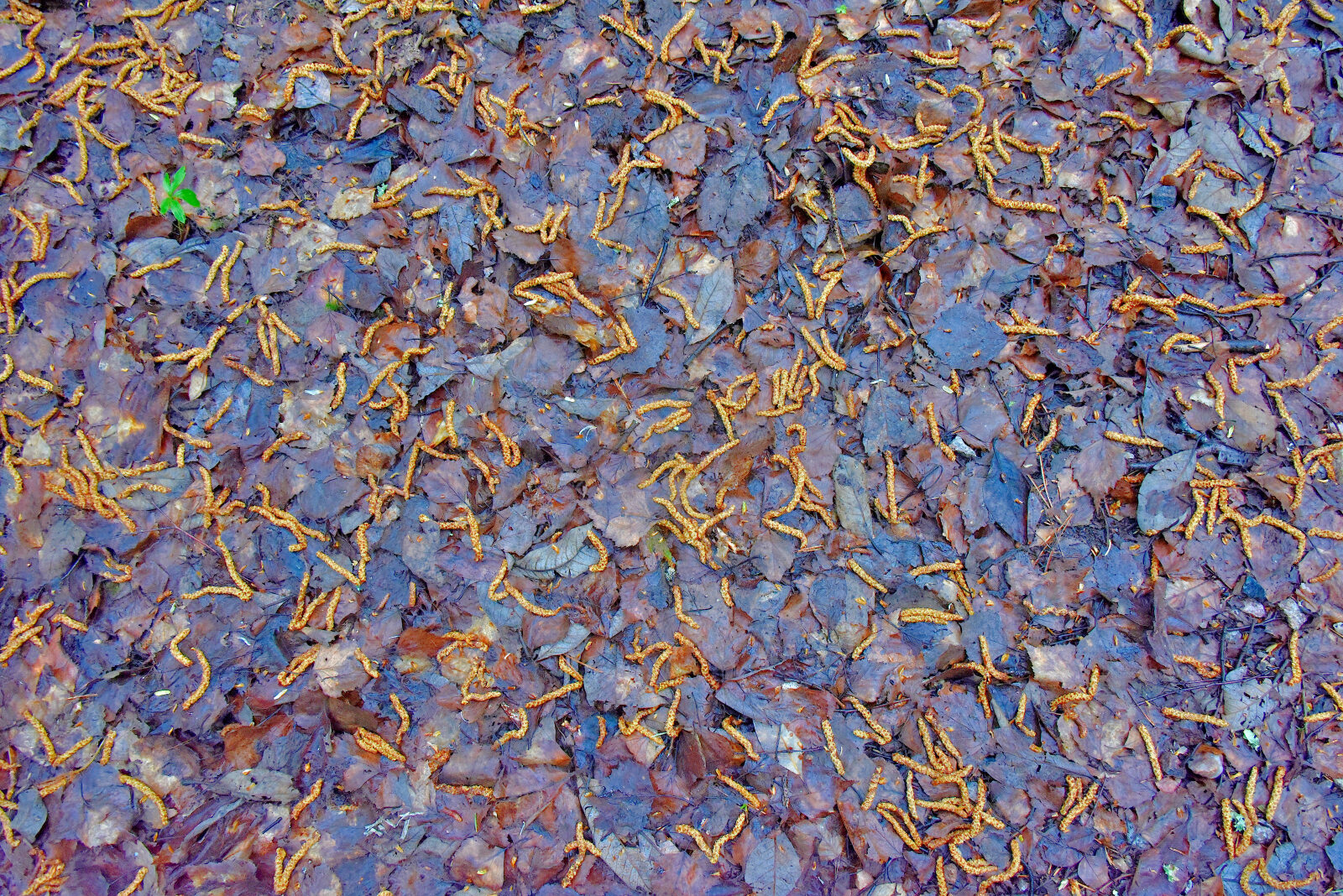 Valokuvaaja: Reijo Juurinen