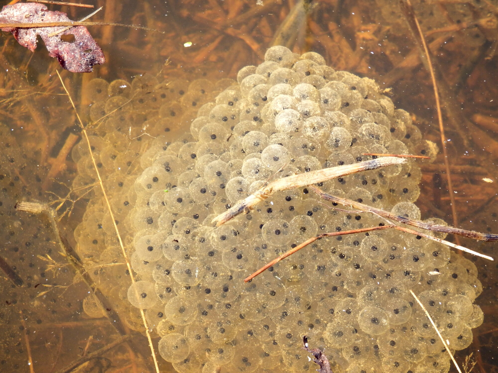Valokuvaaja: Toni Asikainen Valokuvaaja: Toni Asikainen