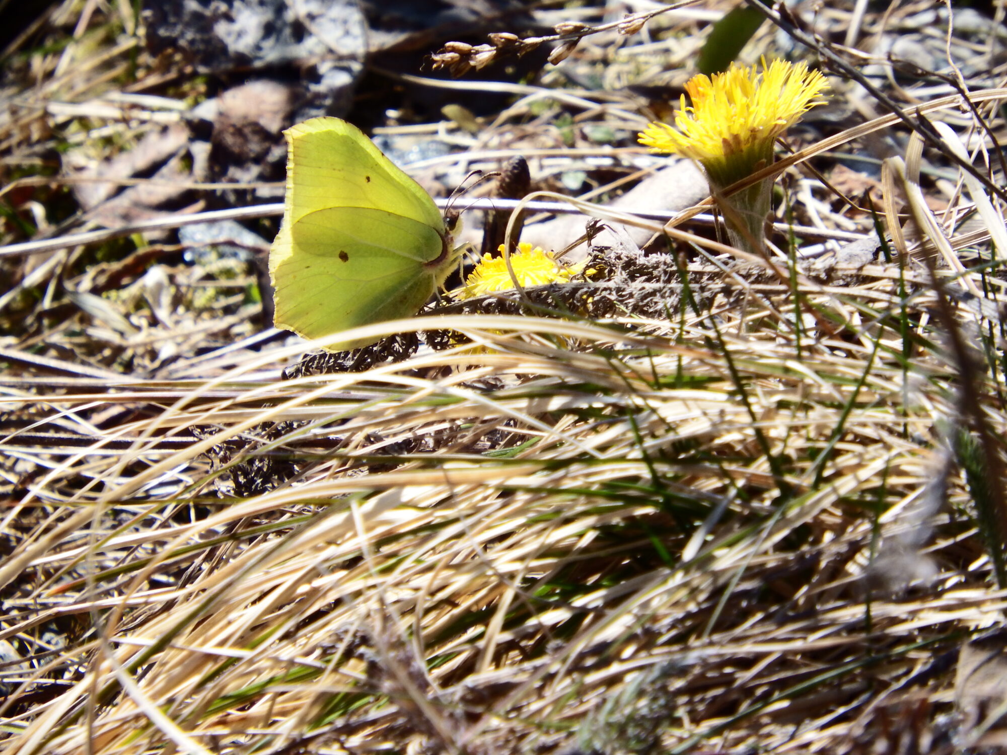 Valokuvaaja: Toni Asikainen