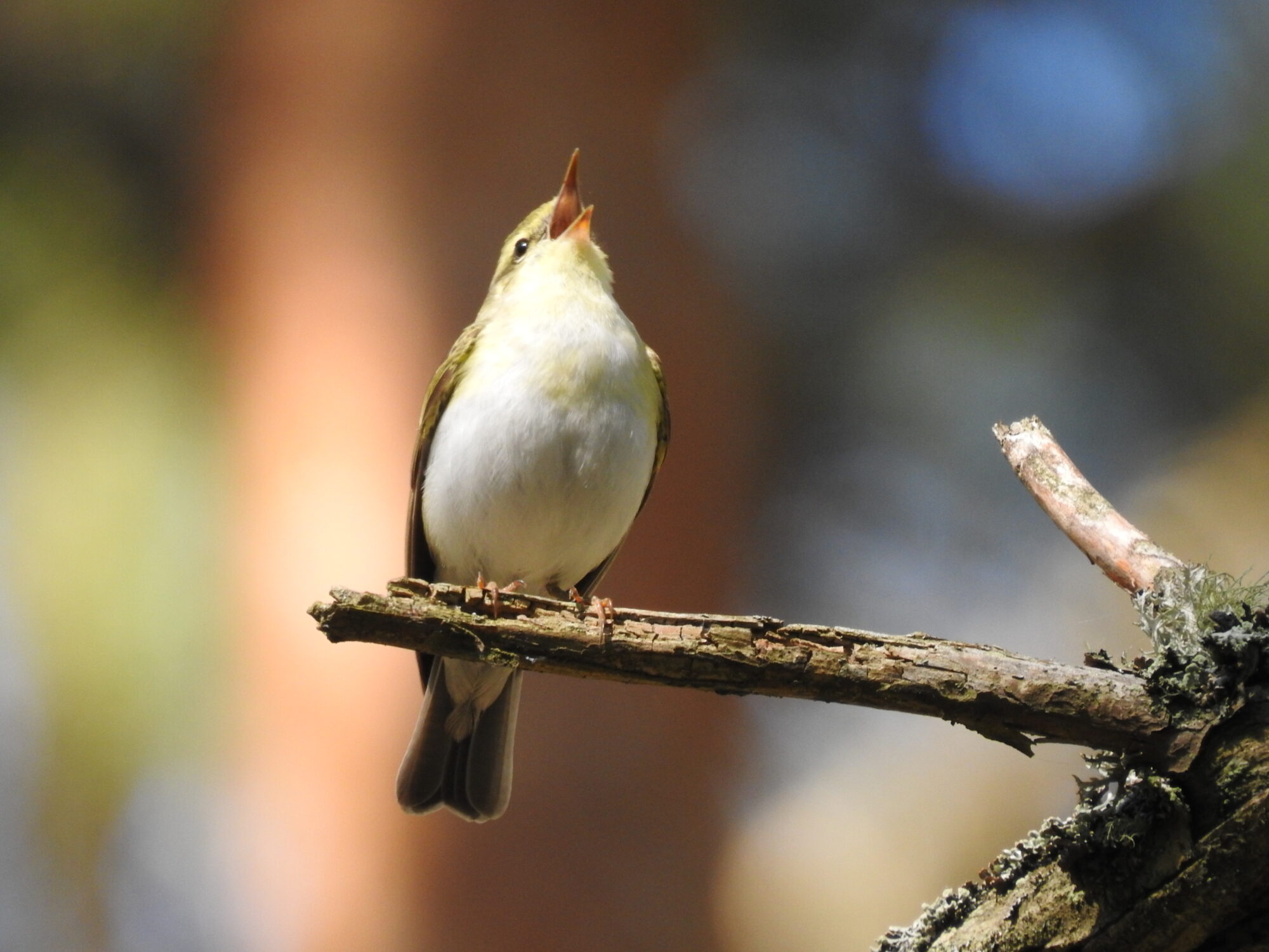 Valokuvaaja: Jarmo Mantere Valokuvaaja: Jarmo Mantere