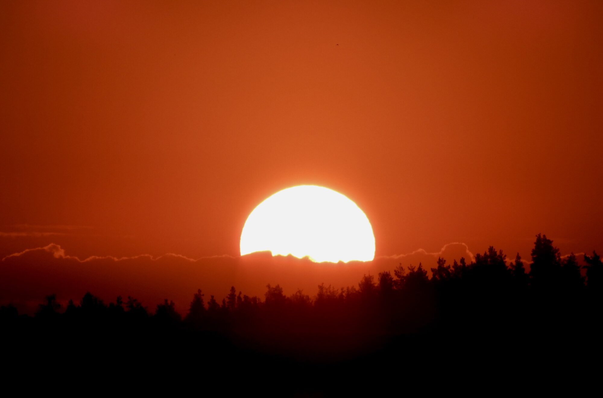 Valokuvaaja: Juhani Peltonen