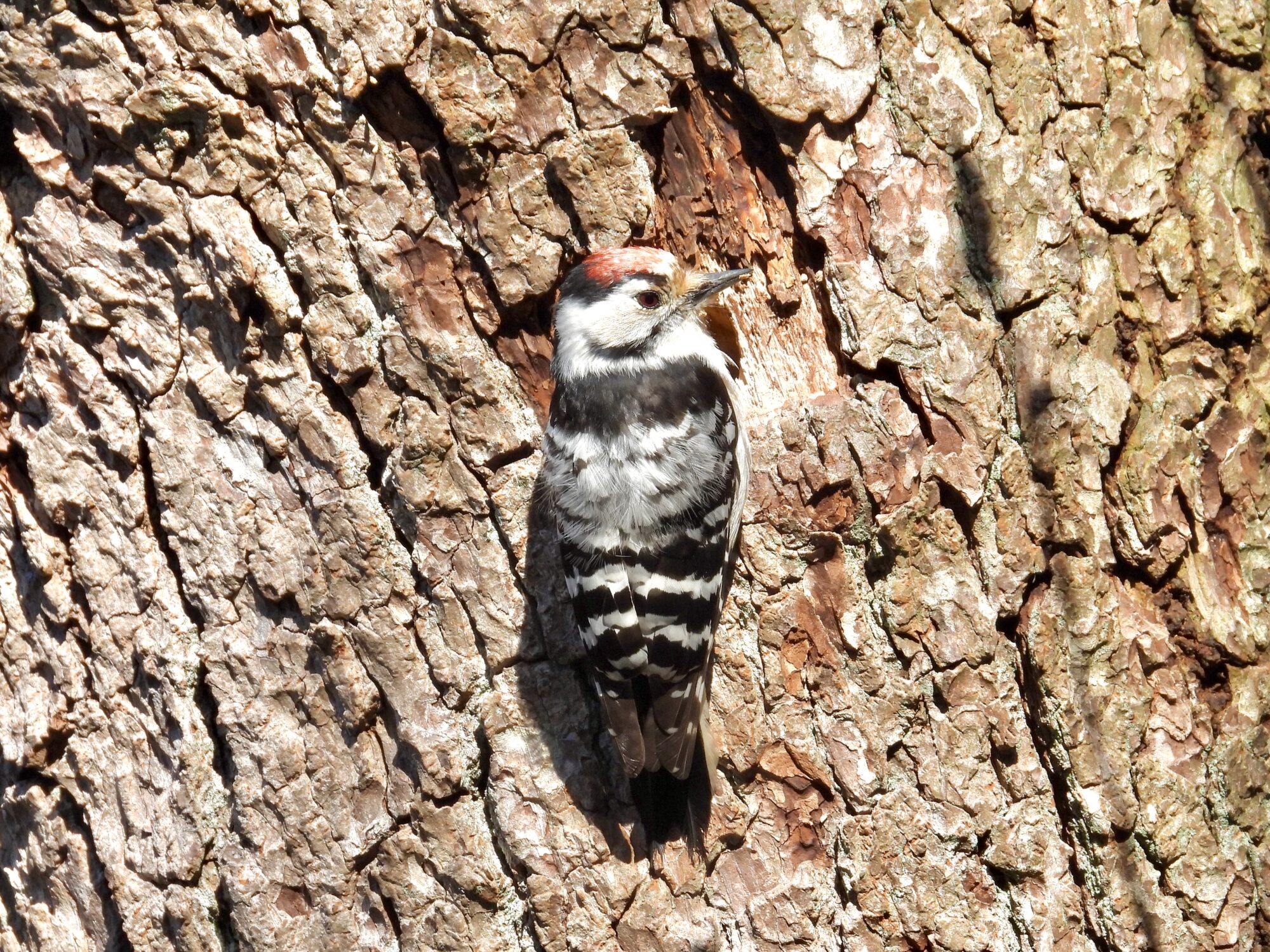 Valokuvaaja: Juhani Peltonen