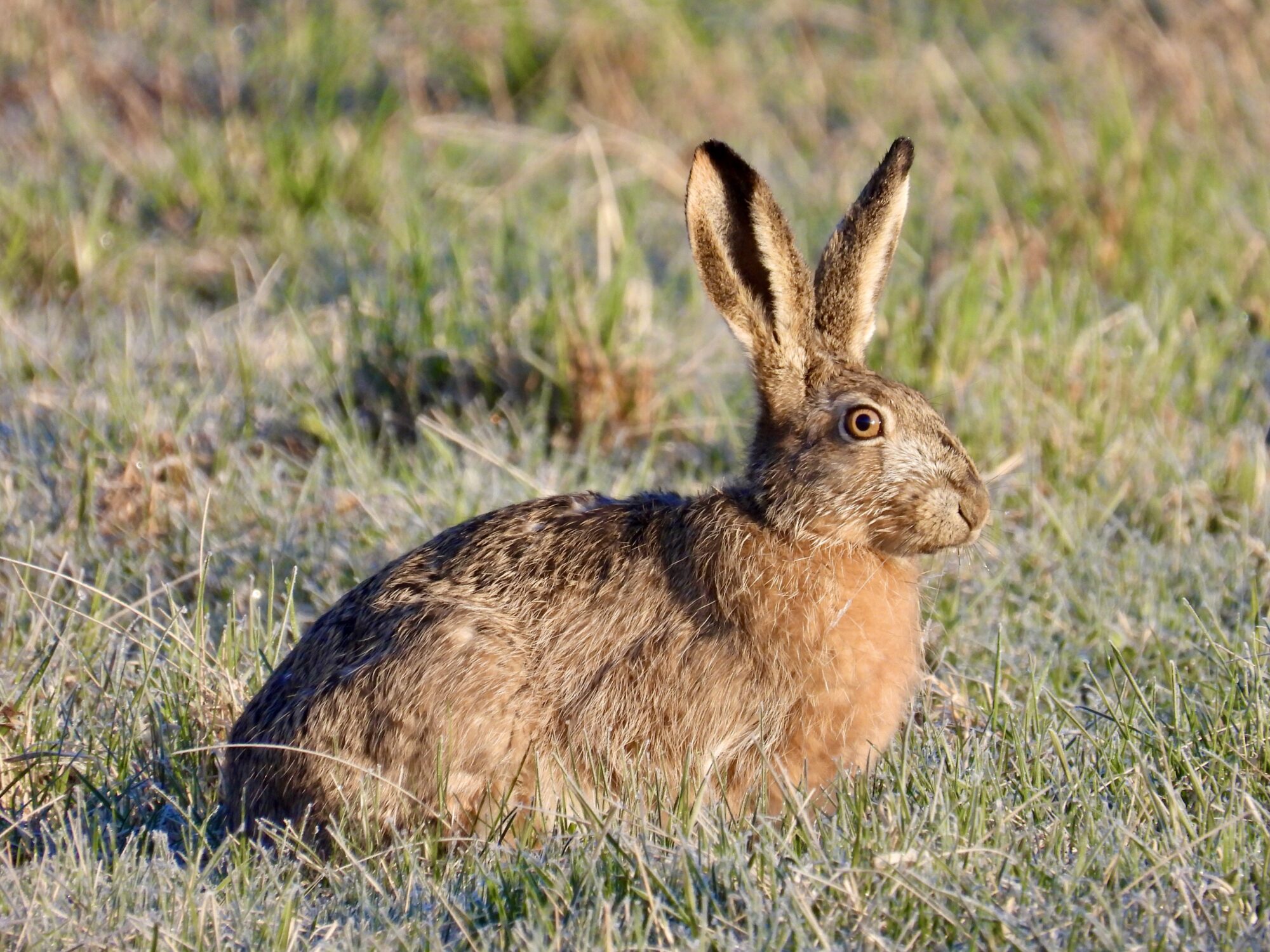 Valokuvaaja: Juhani Peltonen