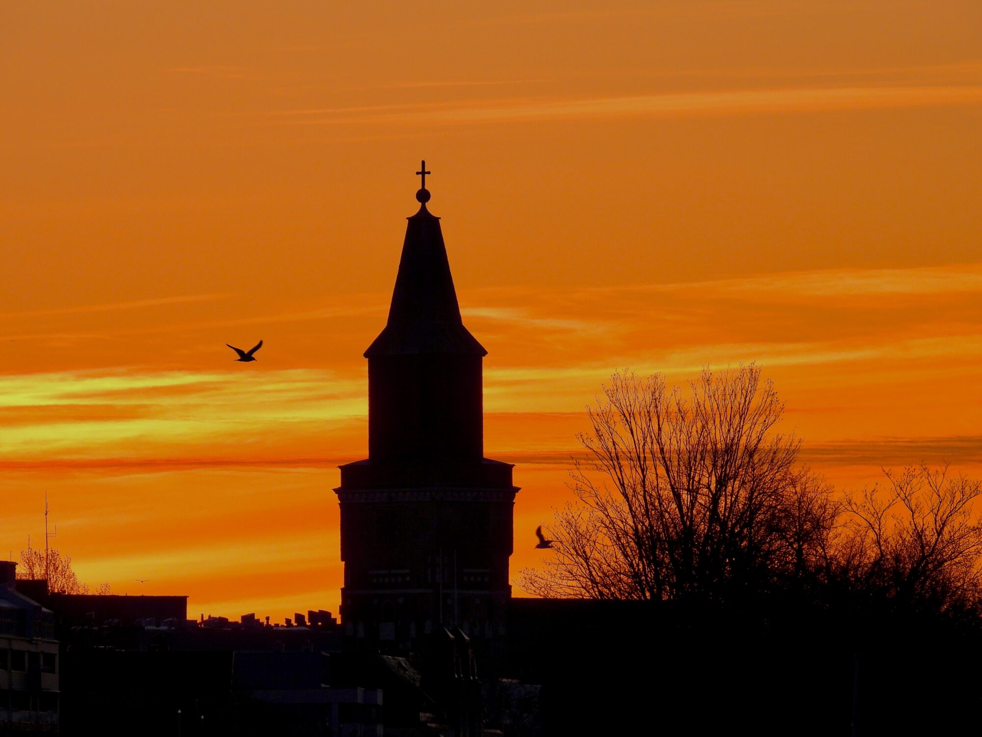 Valokuvaaja: Juhani Peltonen