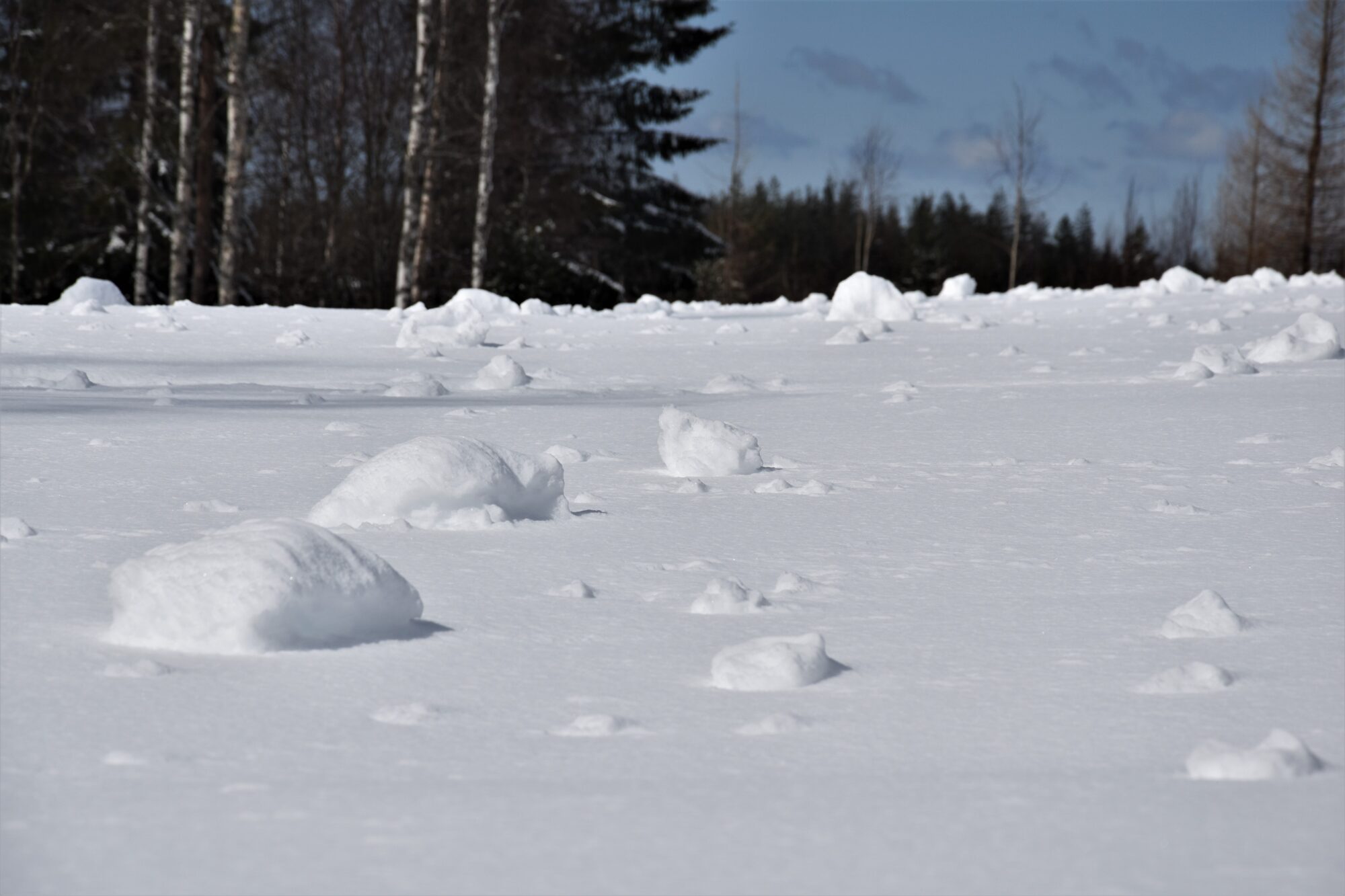 Valokuvaaja: Lahja Toivanen