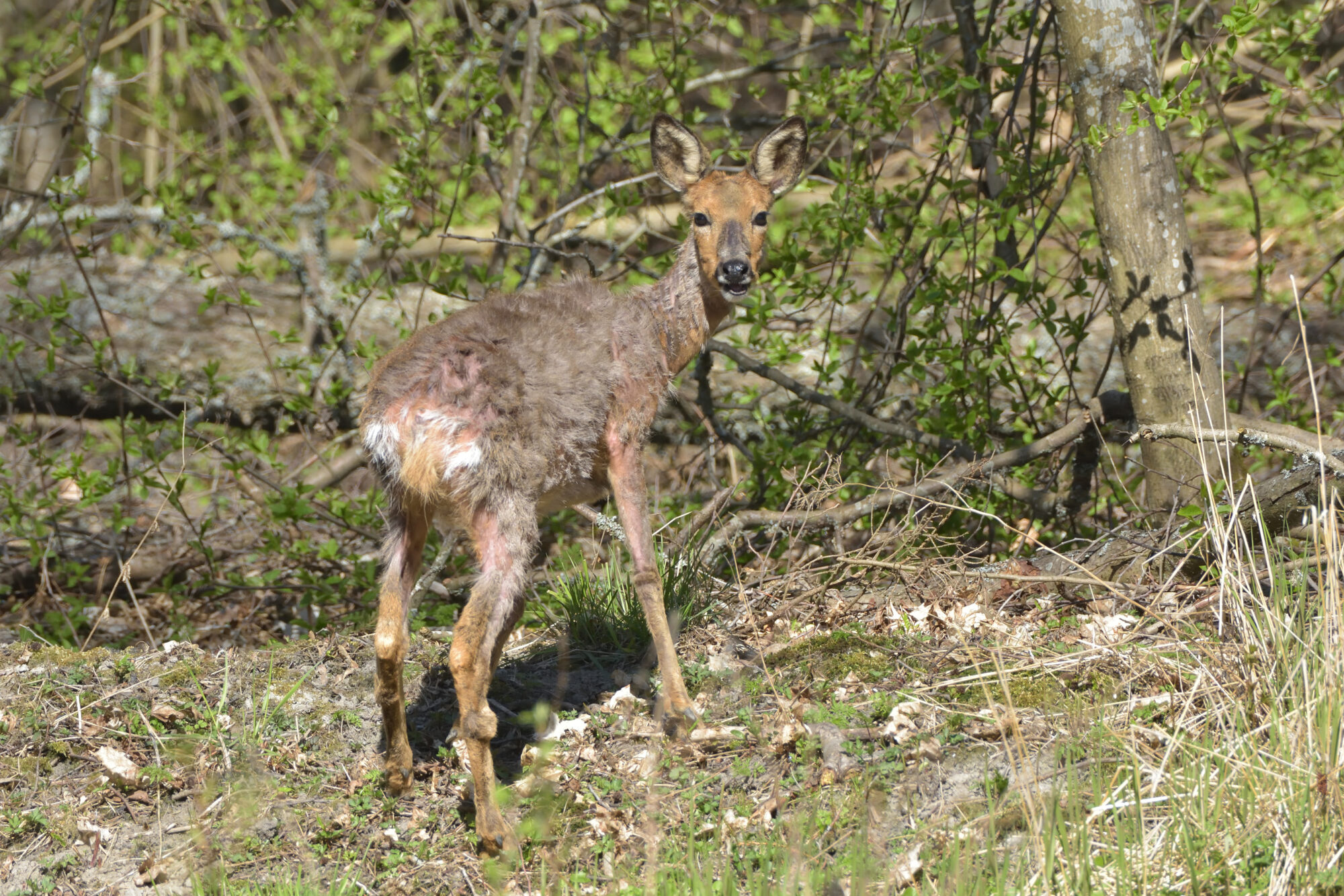 Valokuvaaja: Asko Heikkinen