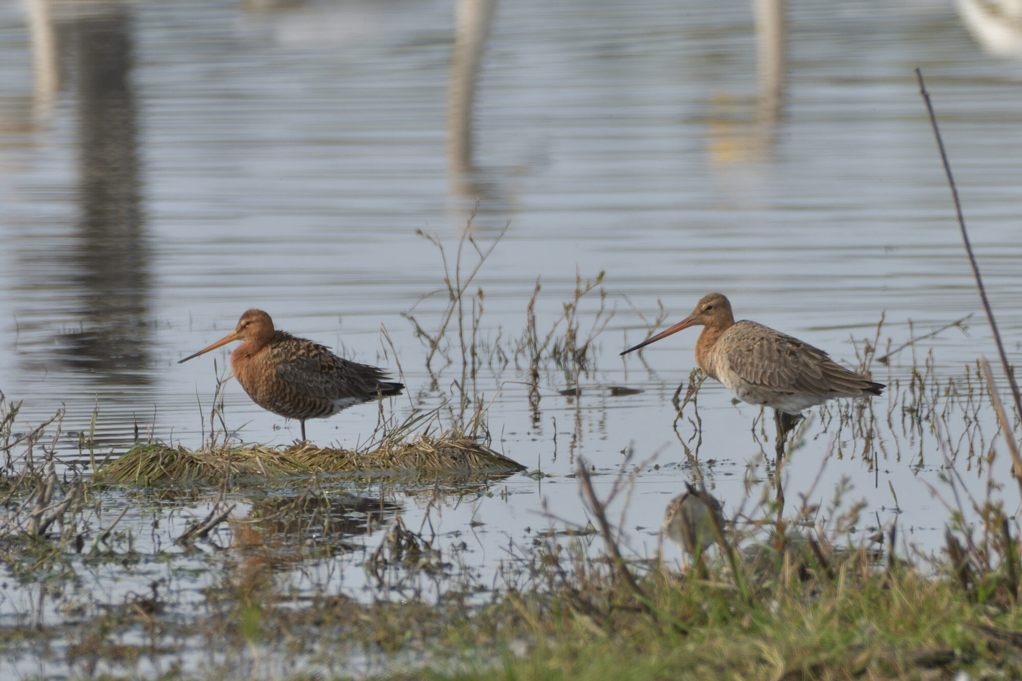 Valokuvaaja: Asko Heikkinen