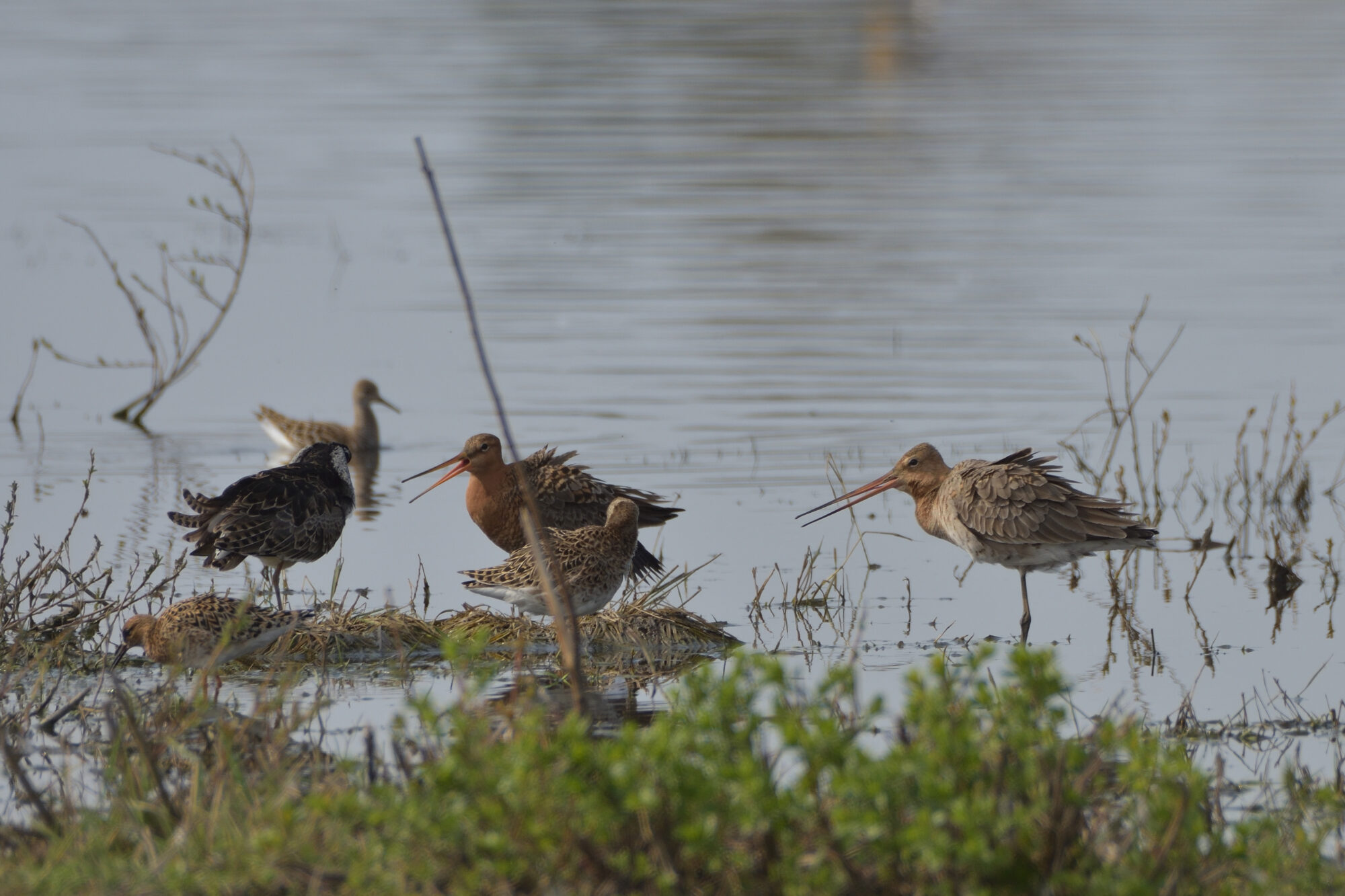 Valokuvaaja: Asko Heikkinen