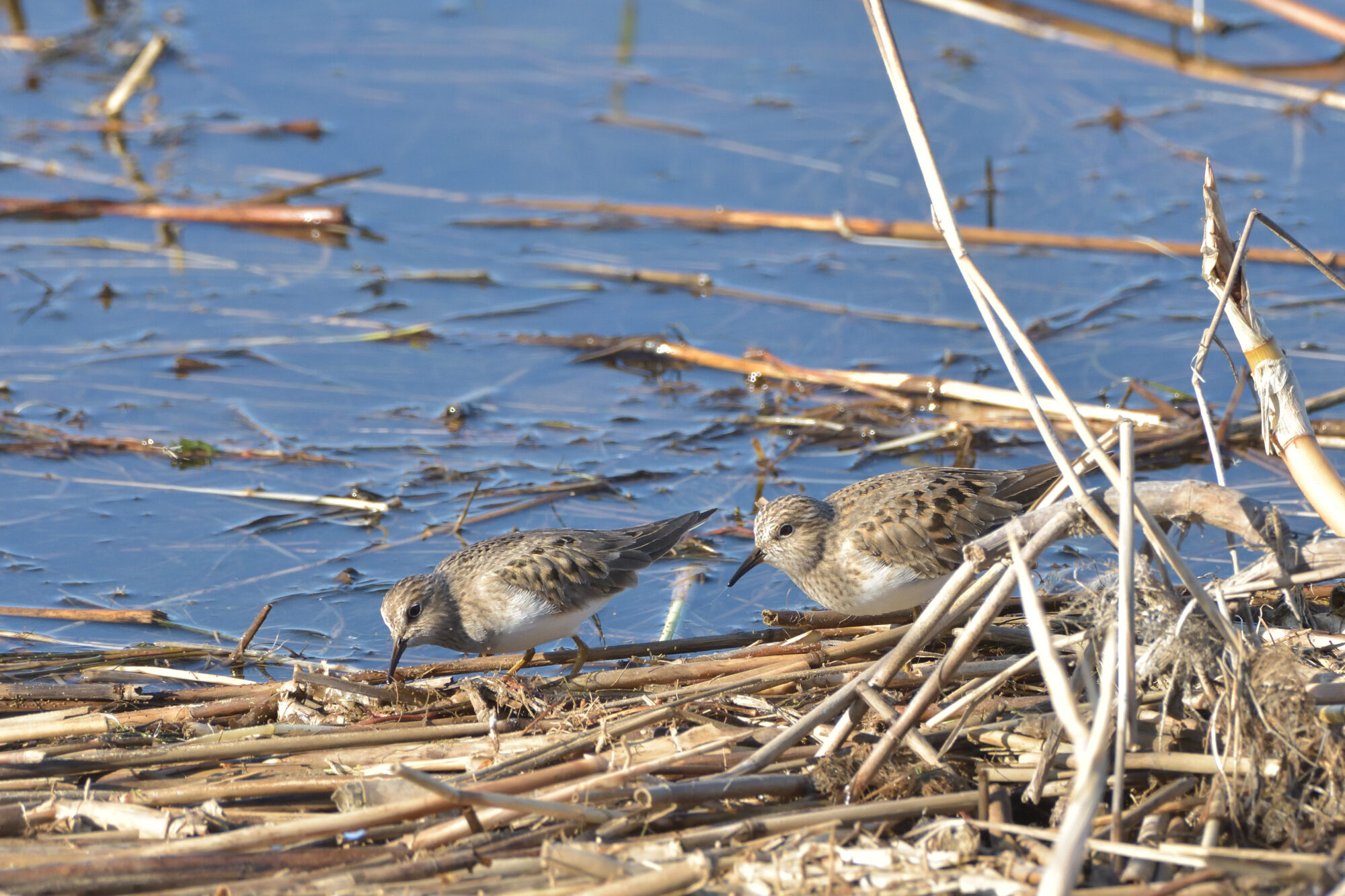 Valokuvaaja: Asko Heikkinen