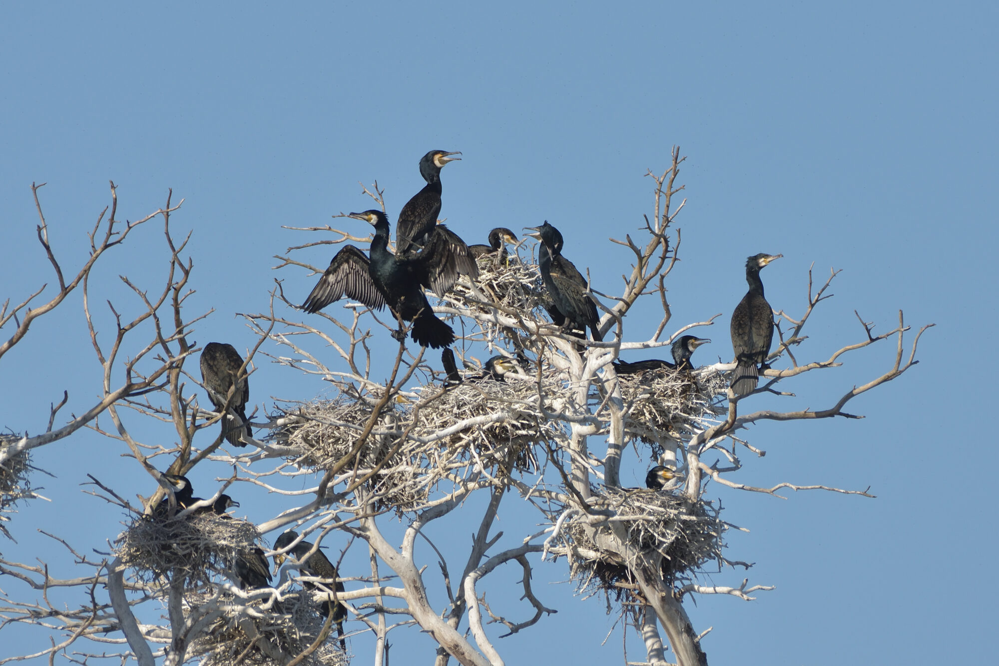 Valokuvaaja: Asko Heikkinen