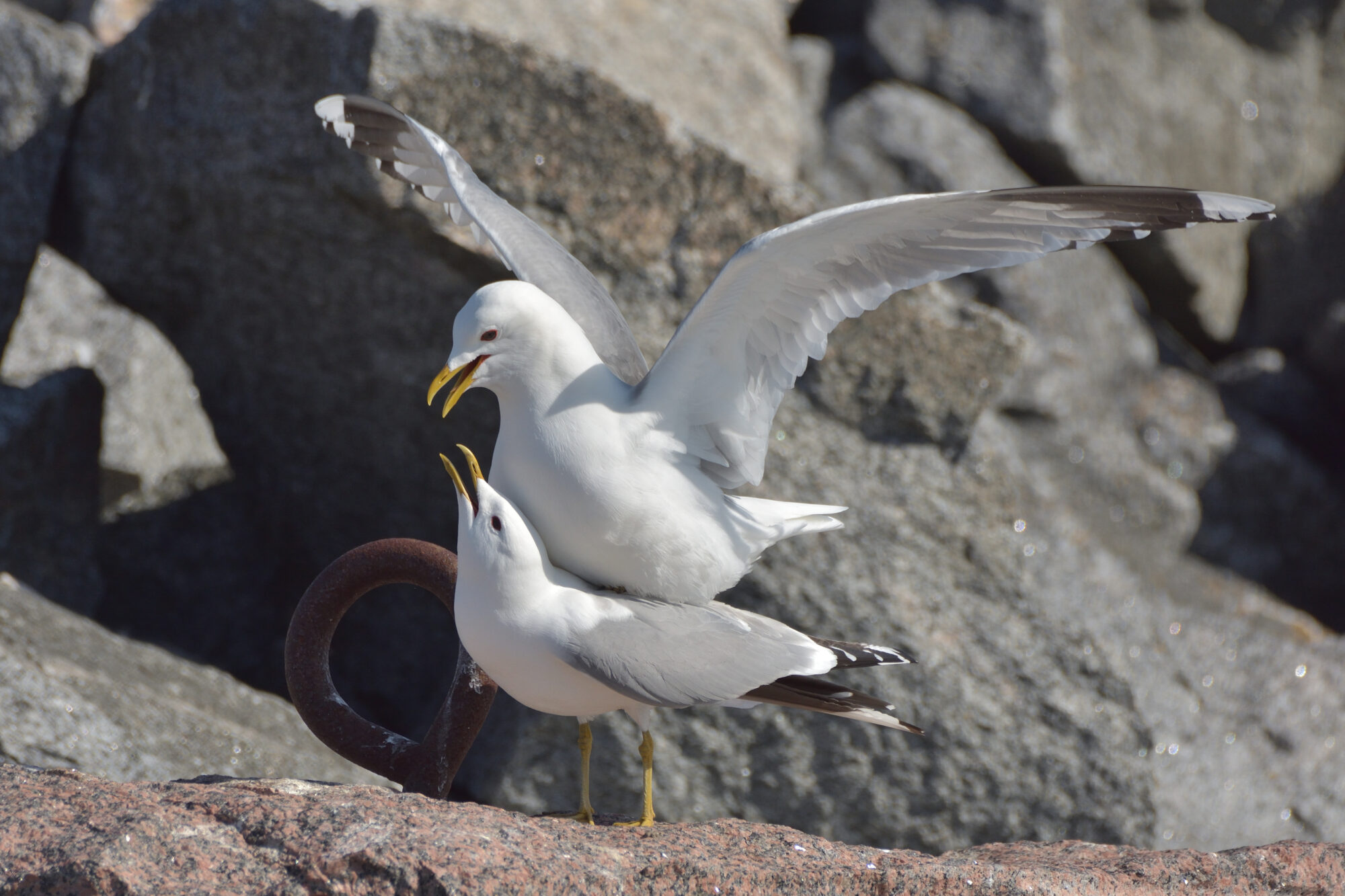 Valokuvaaja: Asko Heikkinen