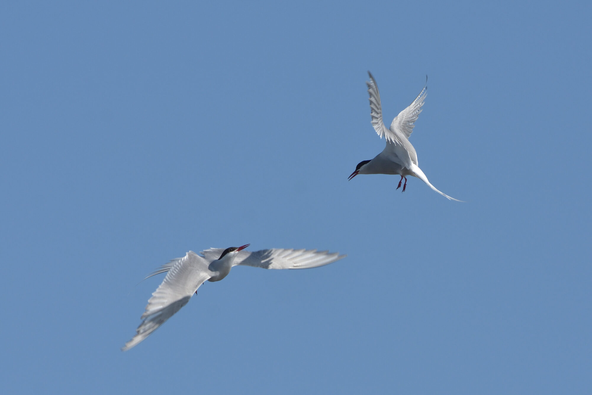 Valokuvaaja: Asko Heikkinen