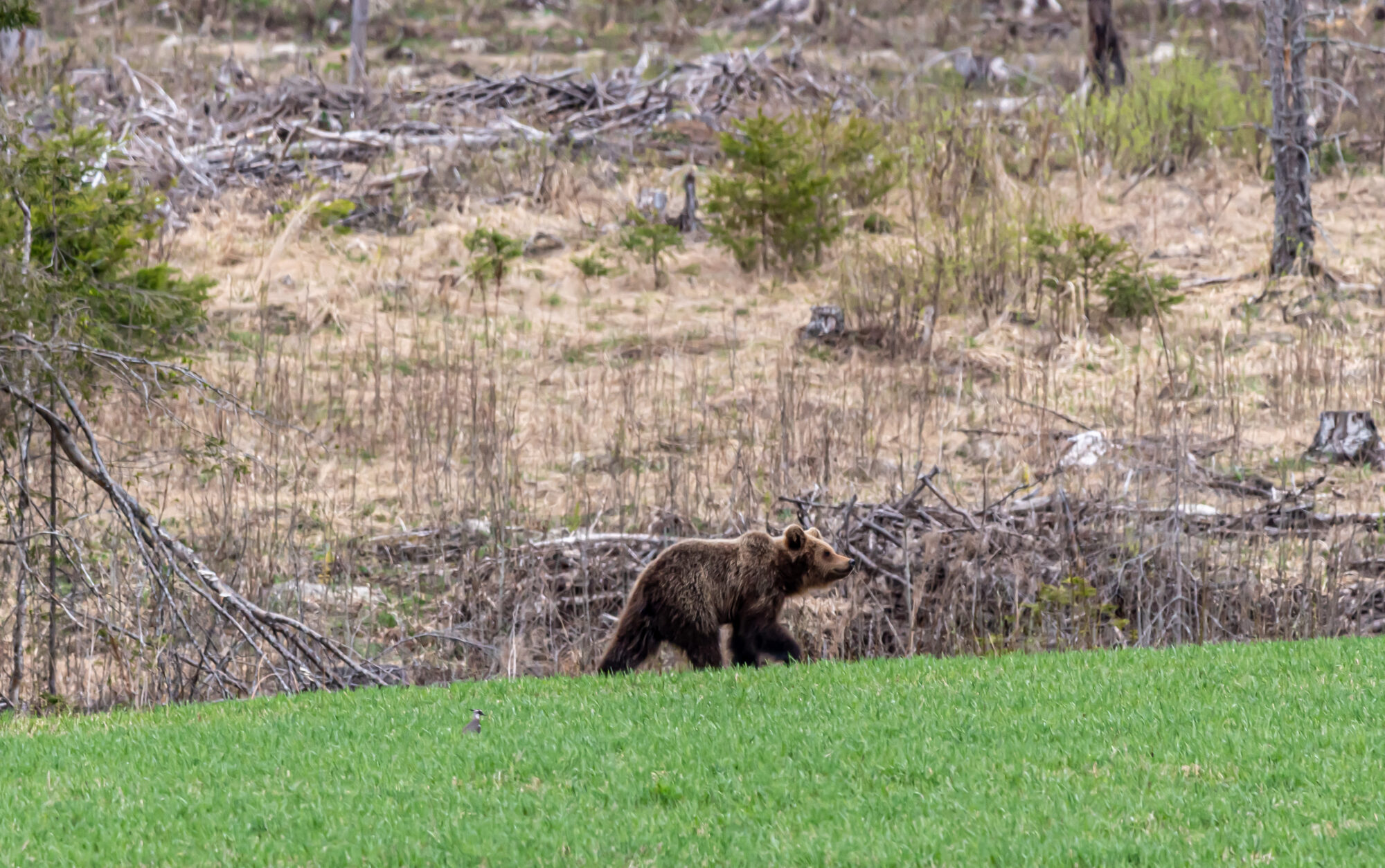 Valokuvaaja: Leena Rissanen