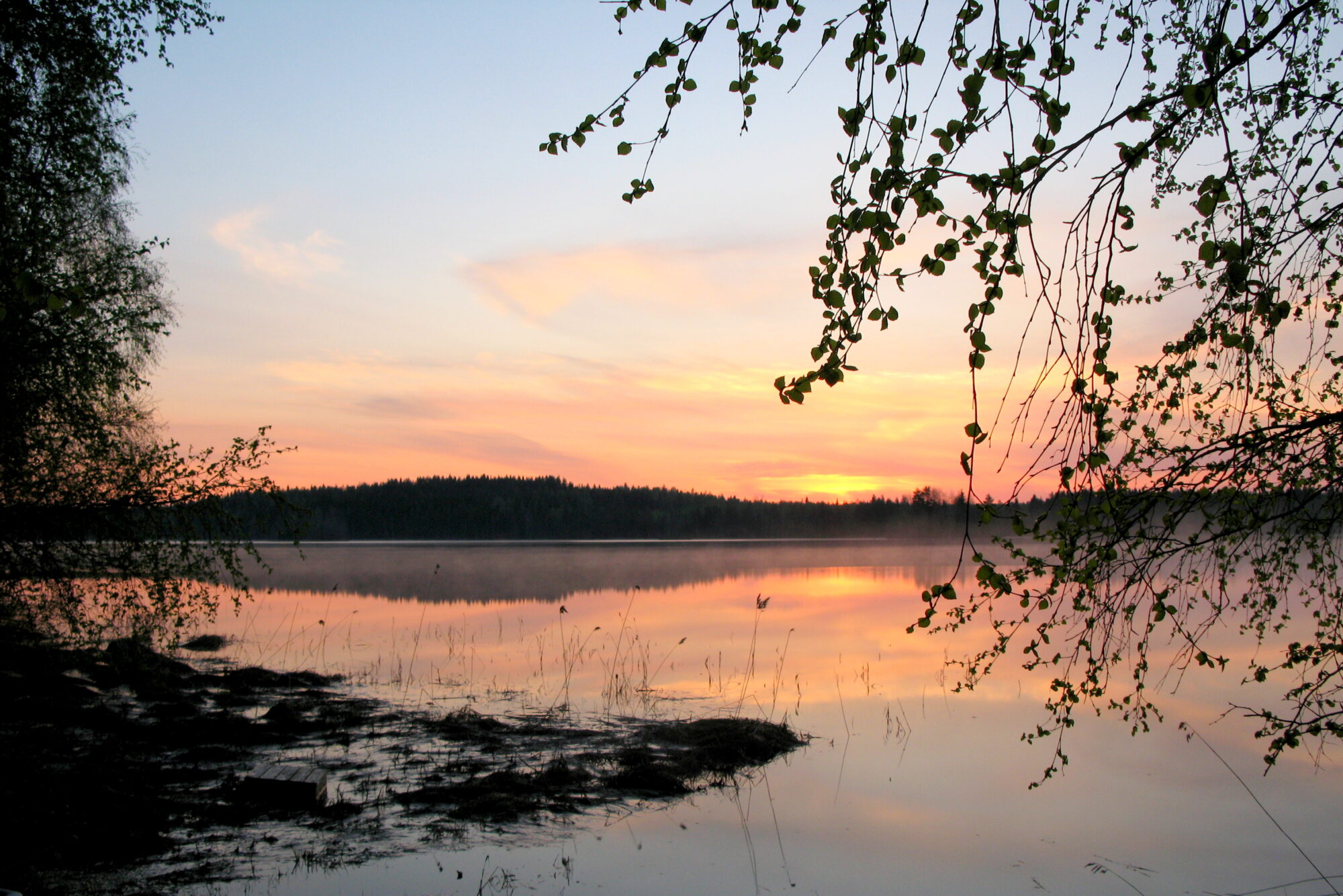 Valokuvaaja: Kaarlo Asikainen