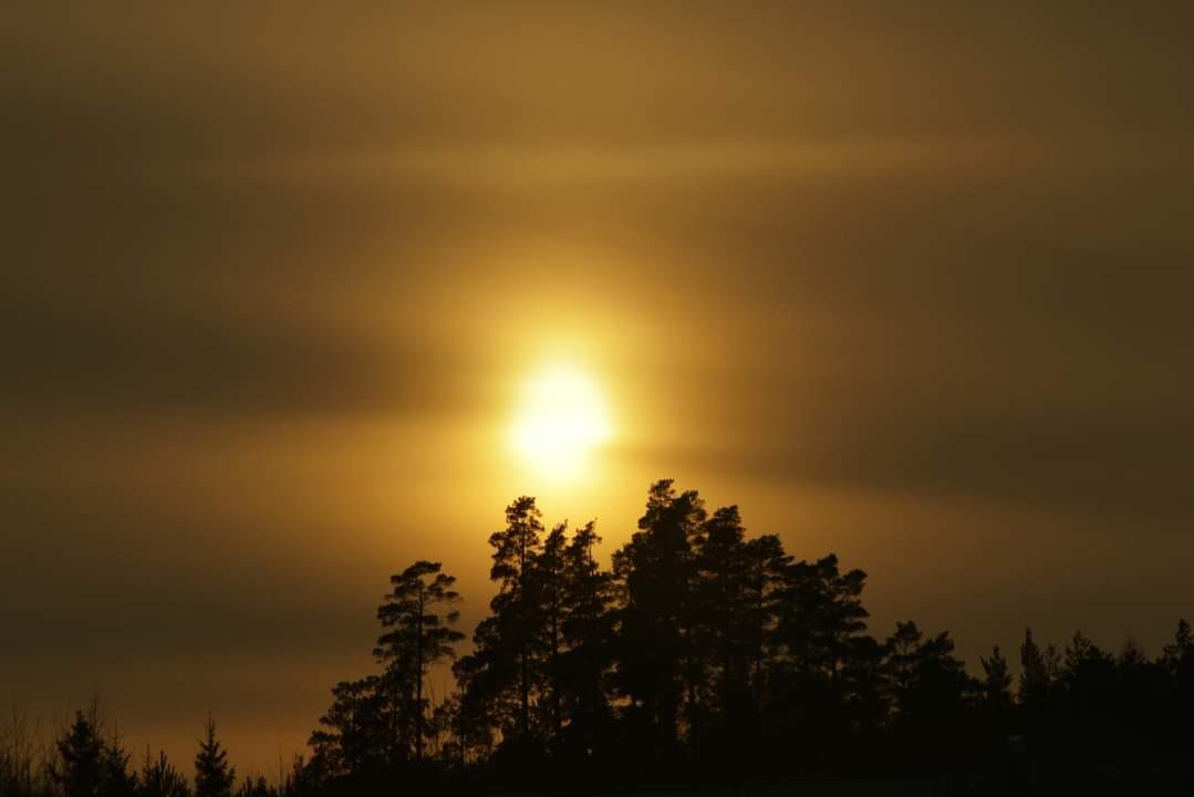 Valokuvaaja: Sonja Nokkala