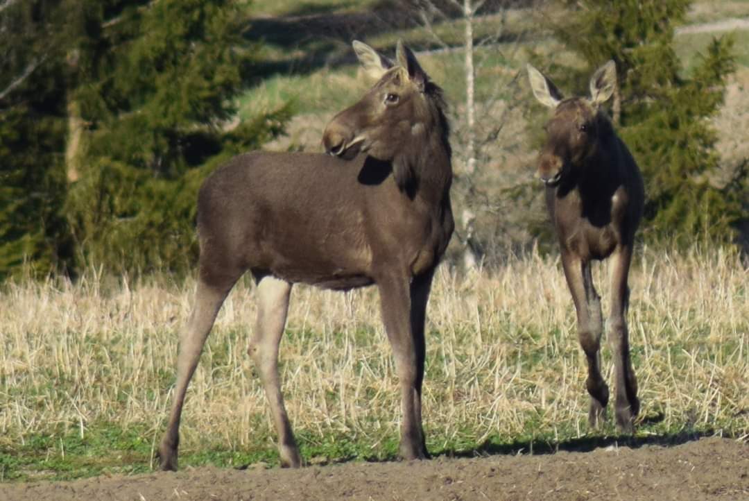 Valokuvaaja: Sonja Nokkala