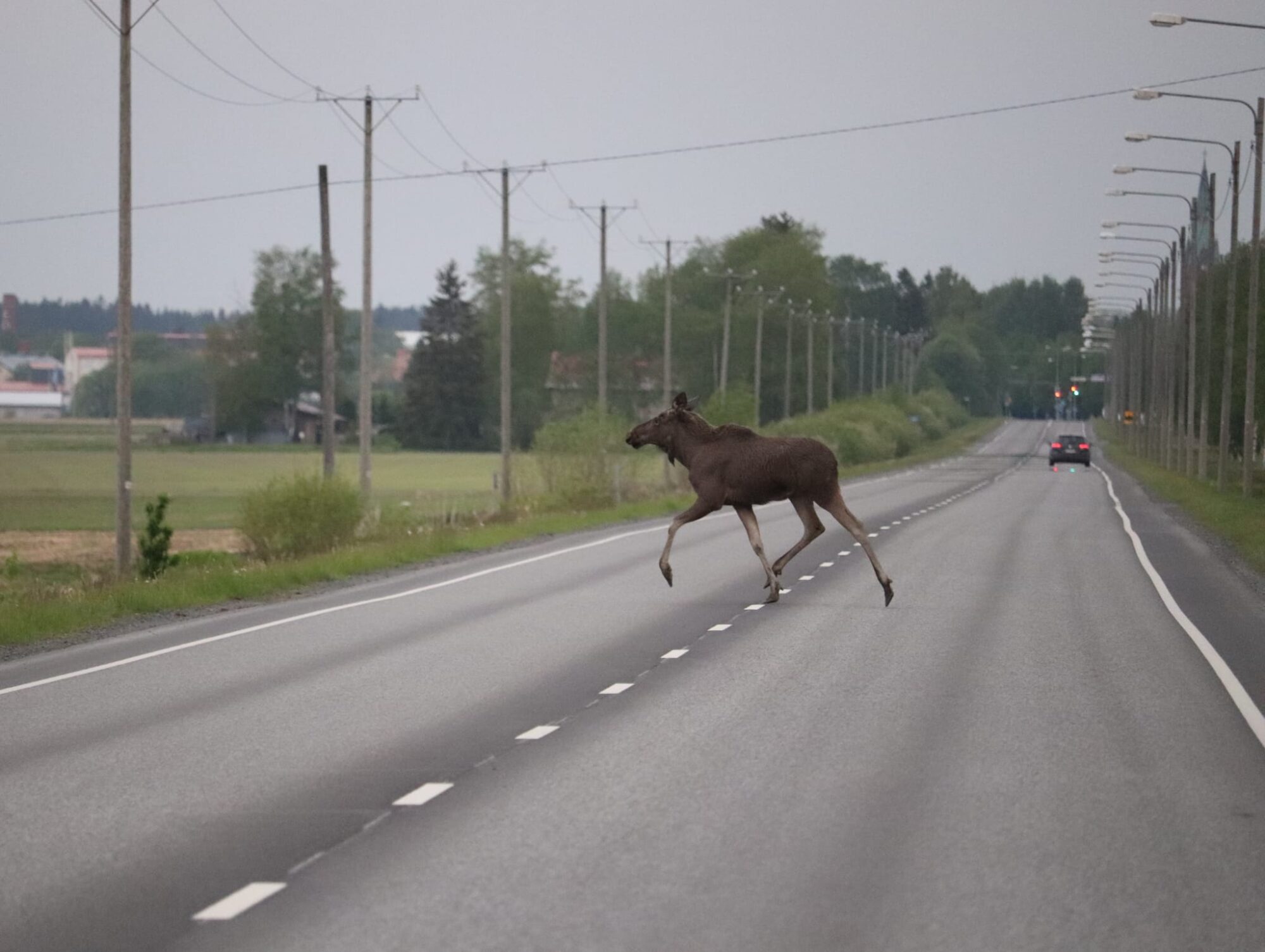 Valokuvaaja: Riitta Marjamäki
