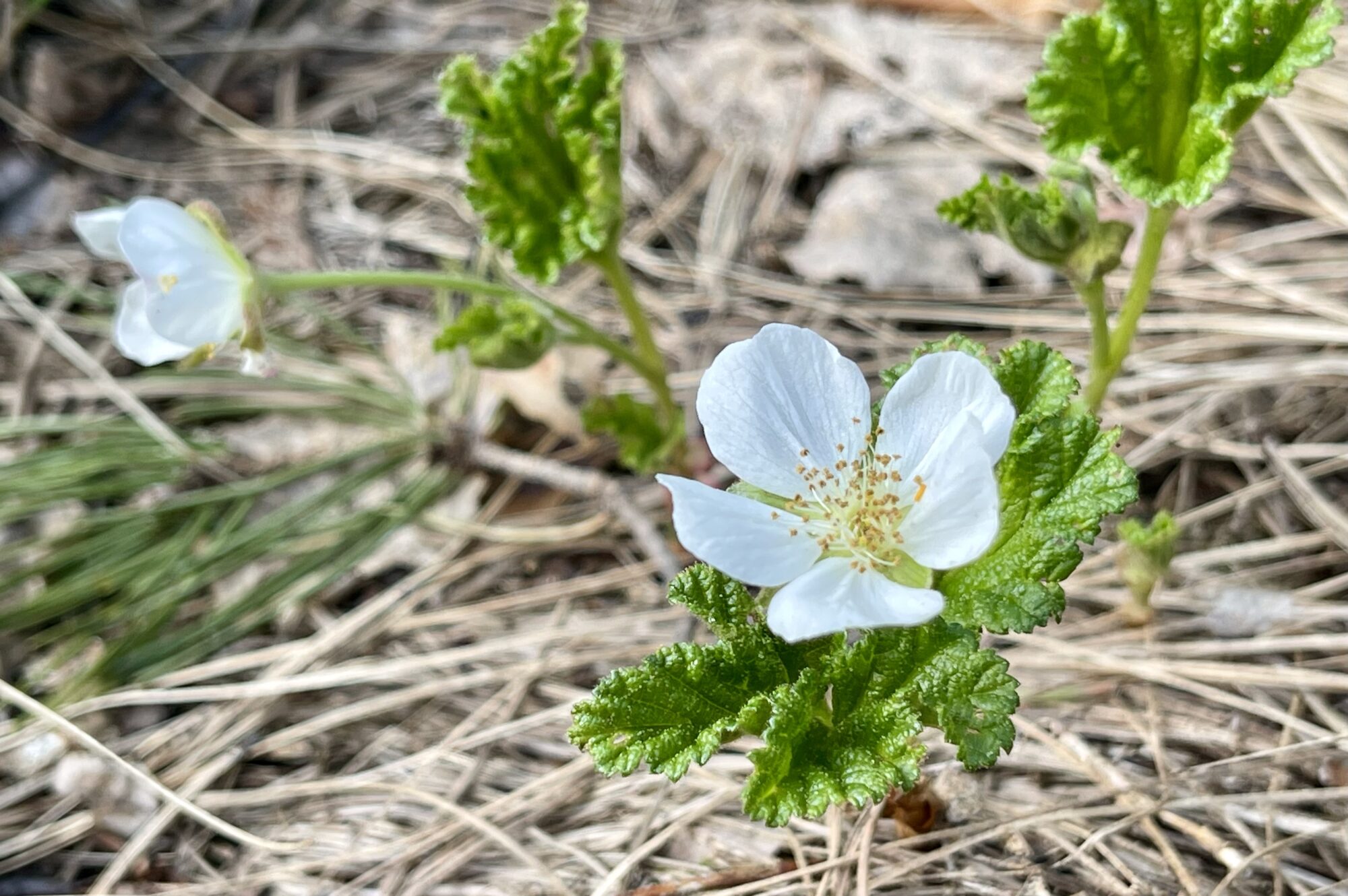Valokuvaaja: Liisa Niiva-Korpela