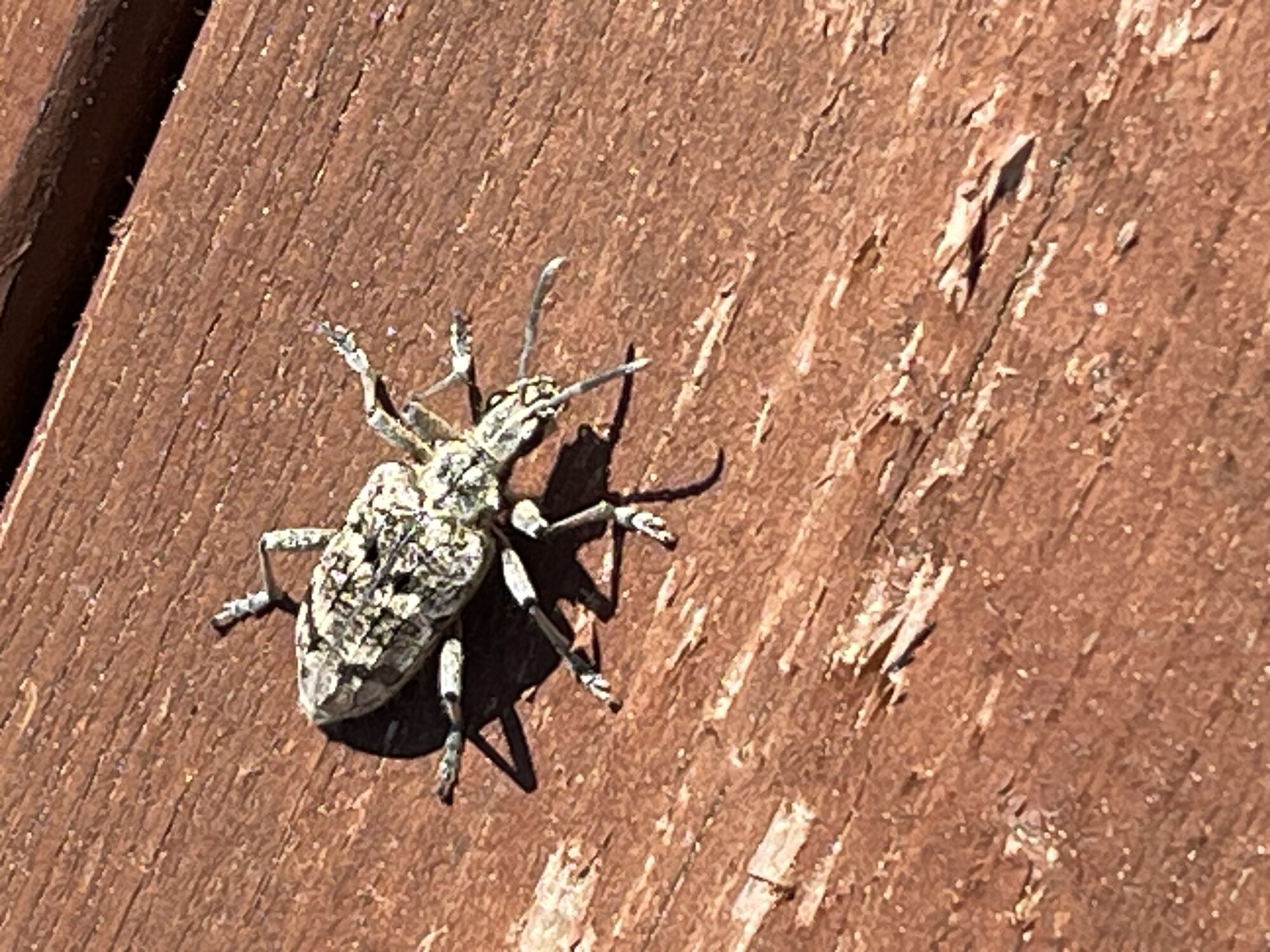 Valokuvaaja: Johanna Hänninen