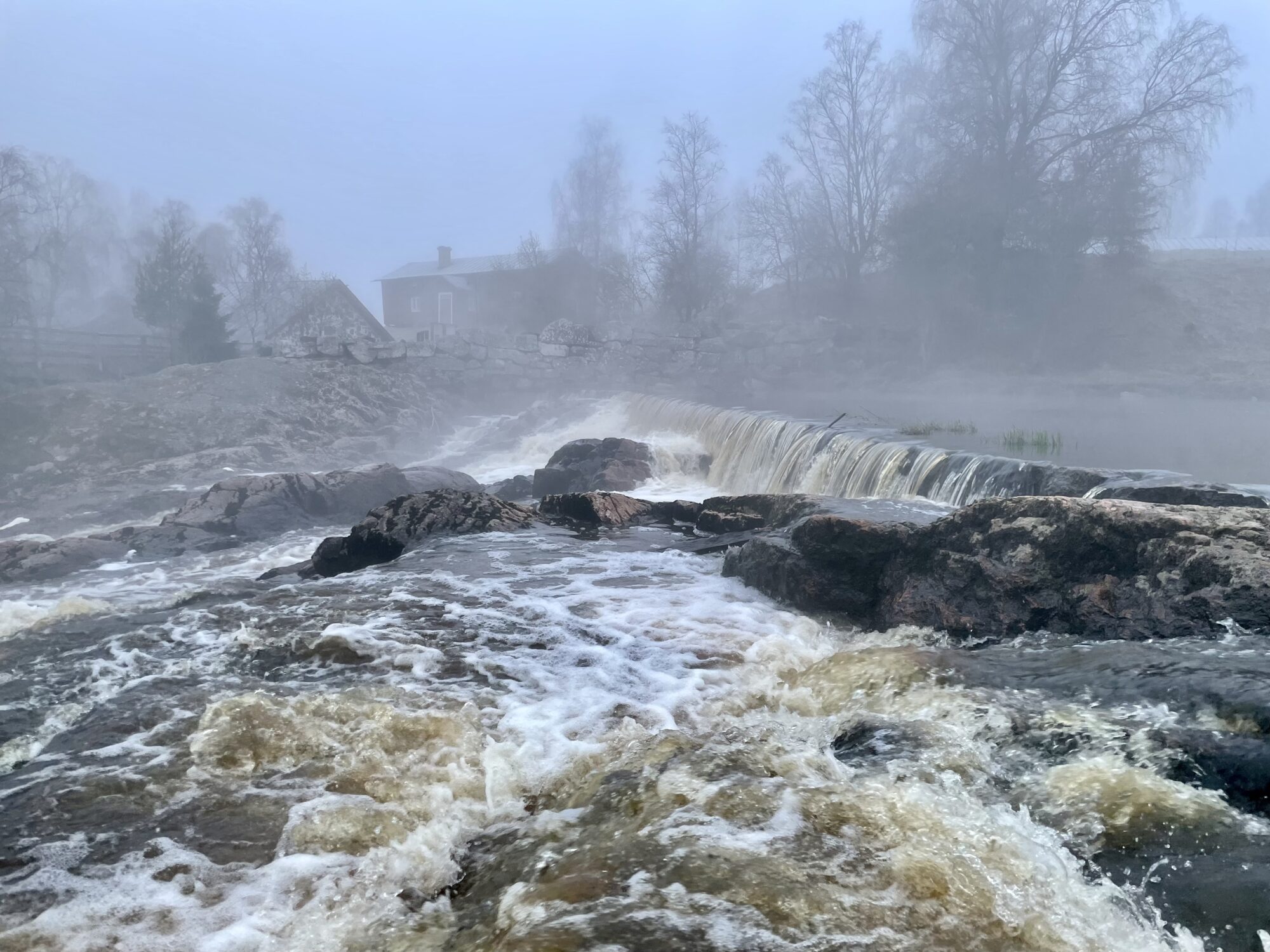 Valokuvaaja: Juhani Peltonen