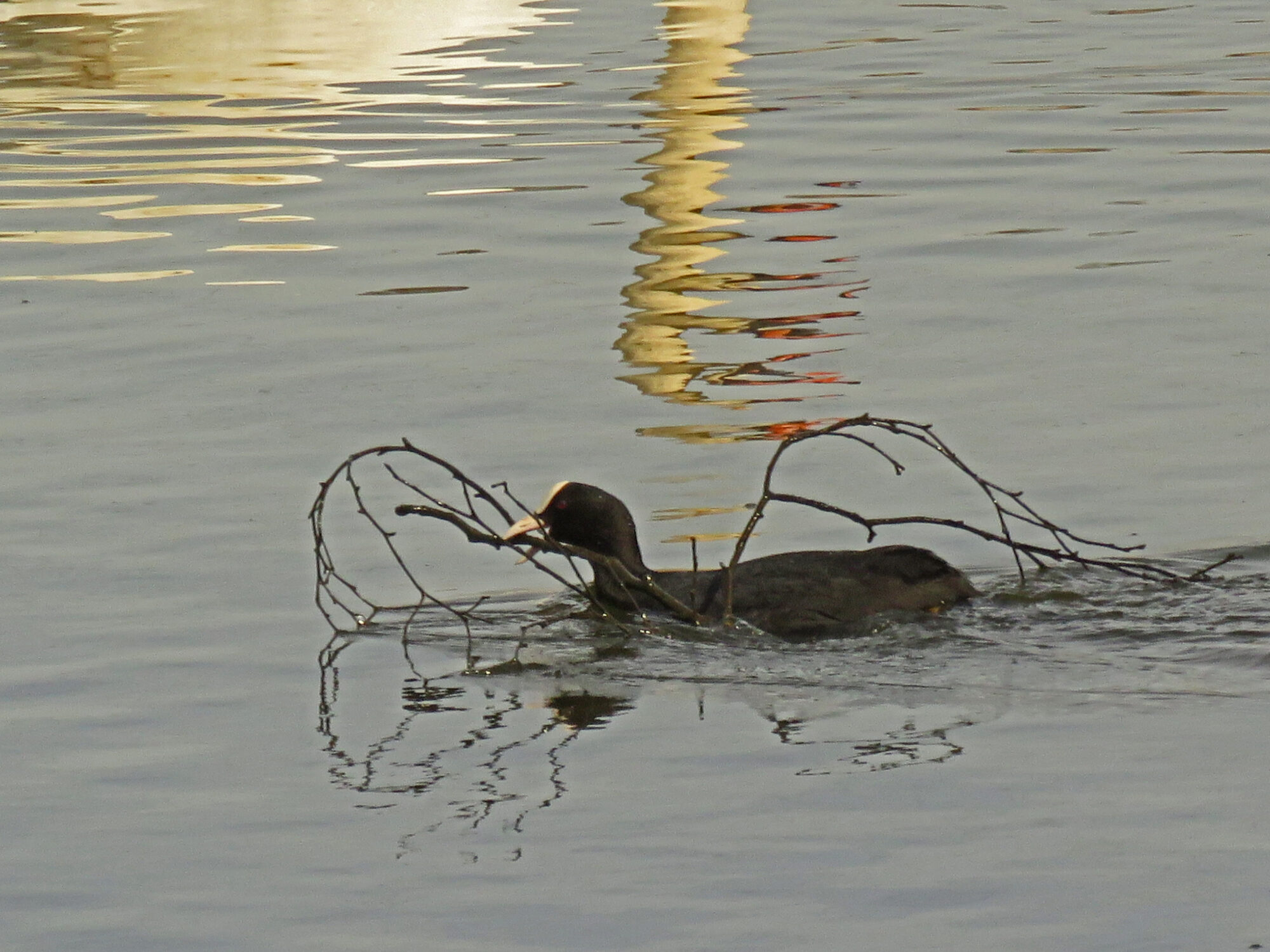 Valokuvaaja: Liisa Johansson