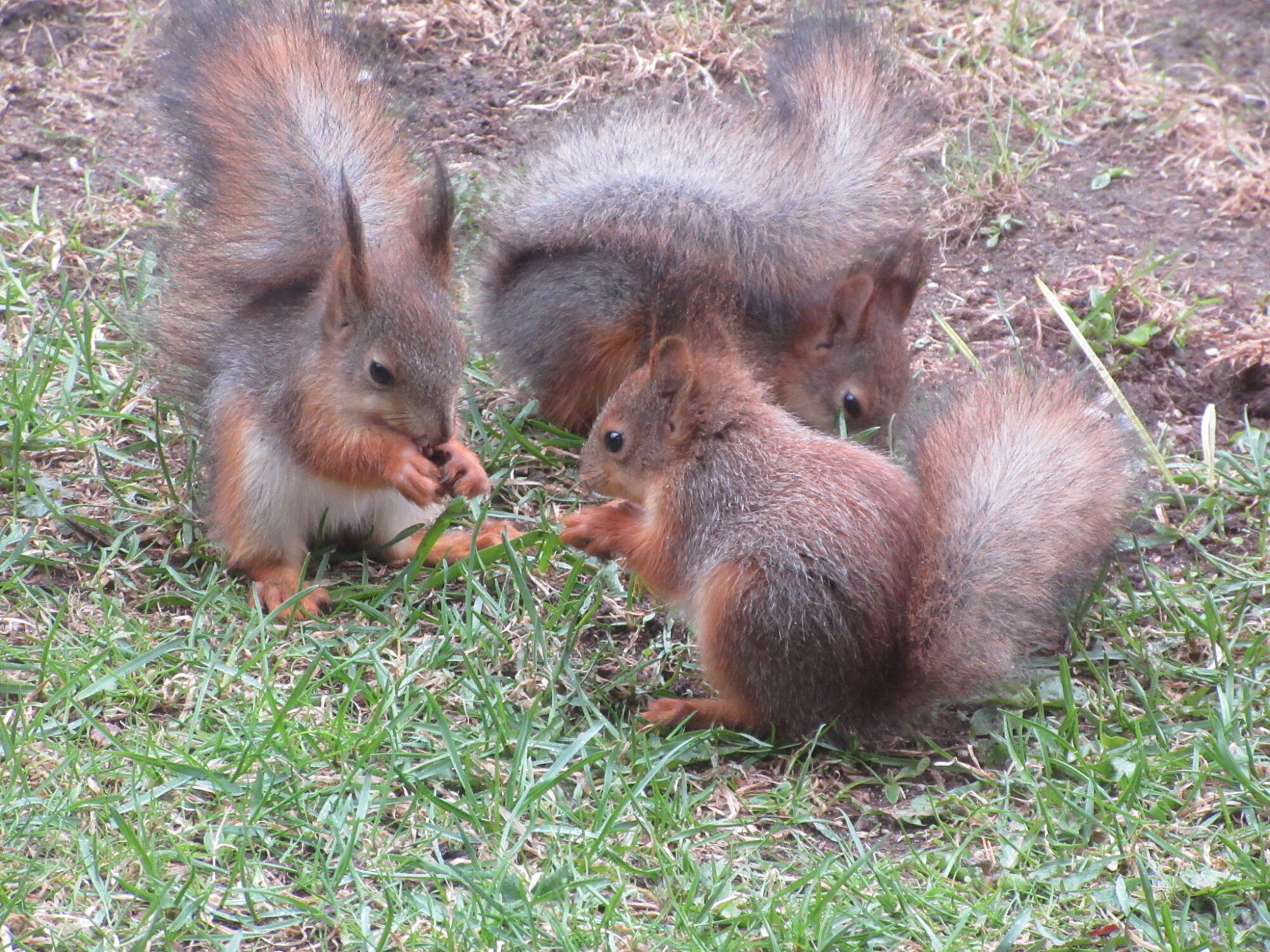 Valokuvaaja: Jouko Komulainen