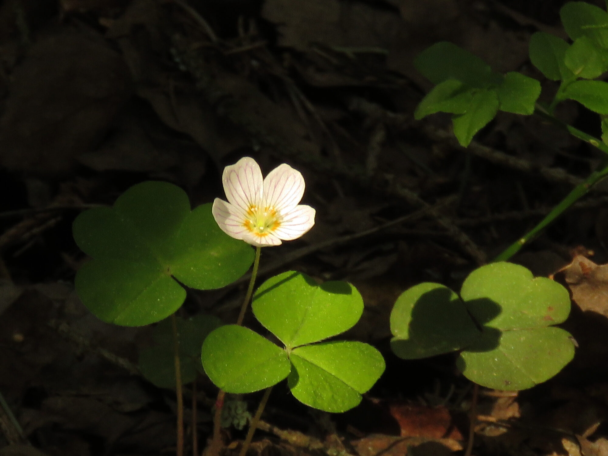 Valokuvaaja: Liisa Johansson
