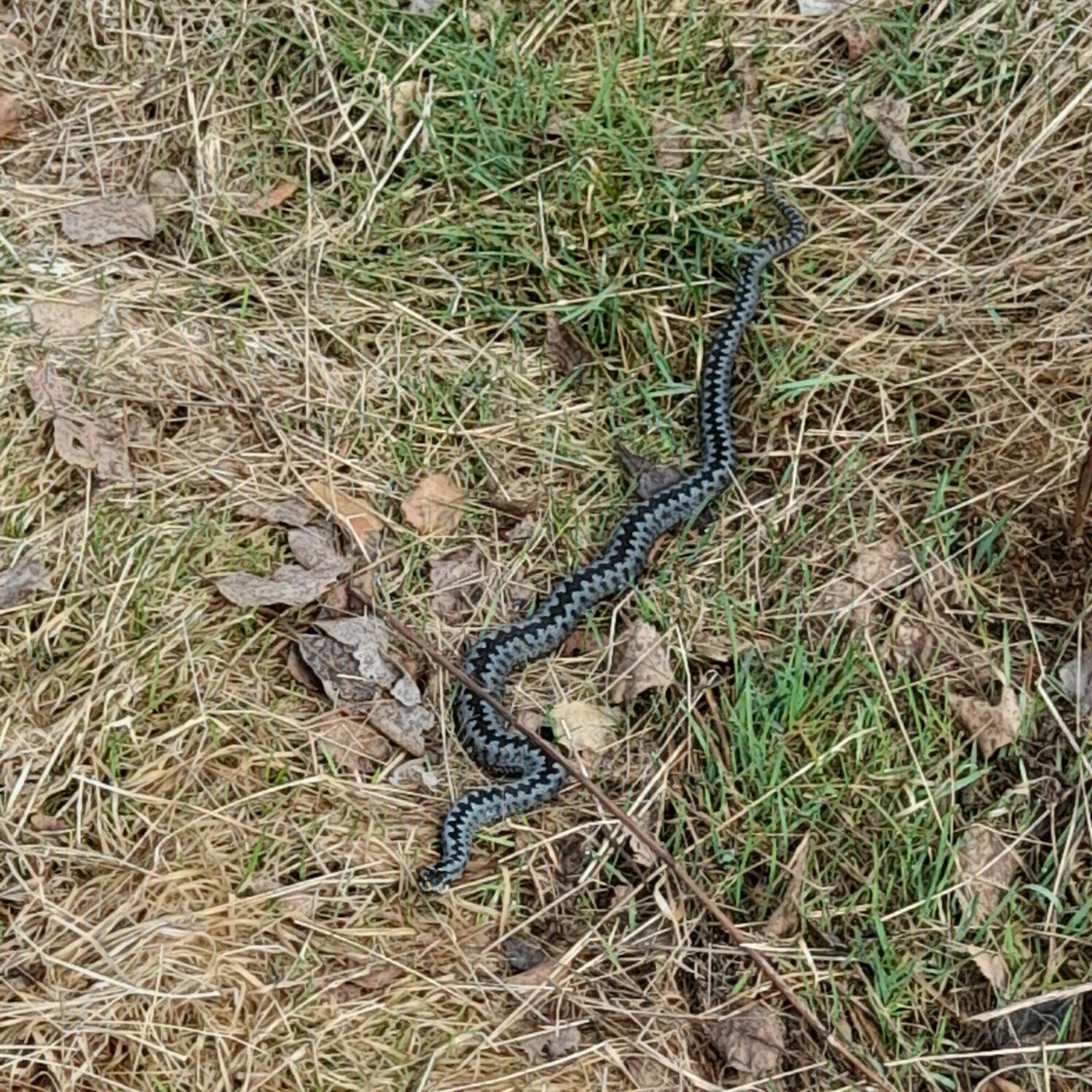 Valokuvaaja: Johanna Hoisko