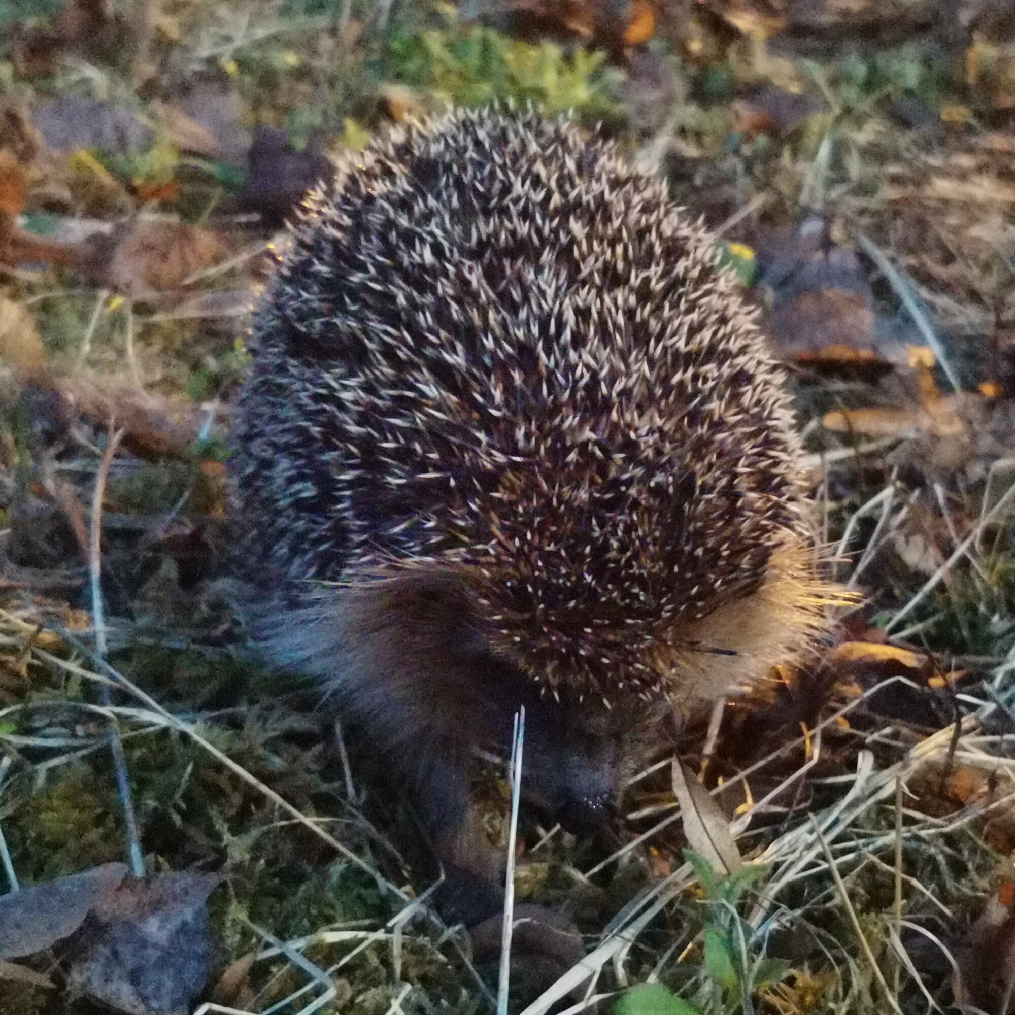 Valokuvaaja: Tapio Keinonen