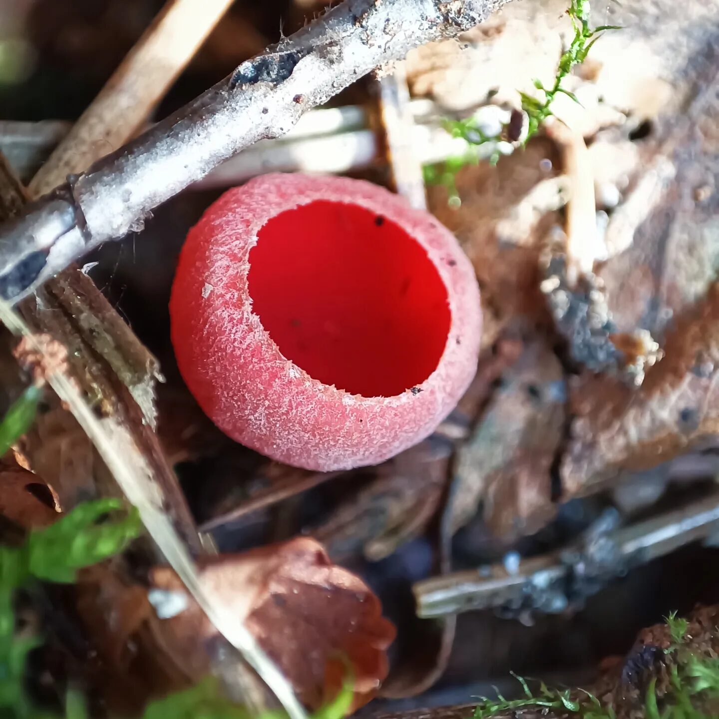 Valokuvaaja: Tiina Mäkinen