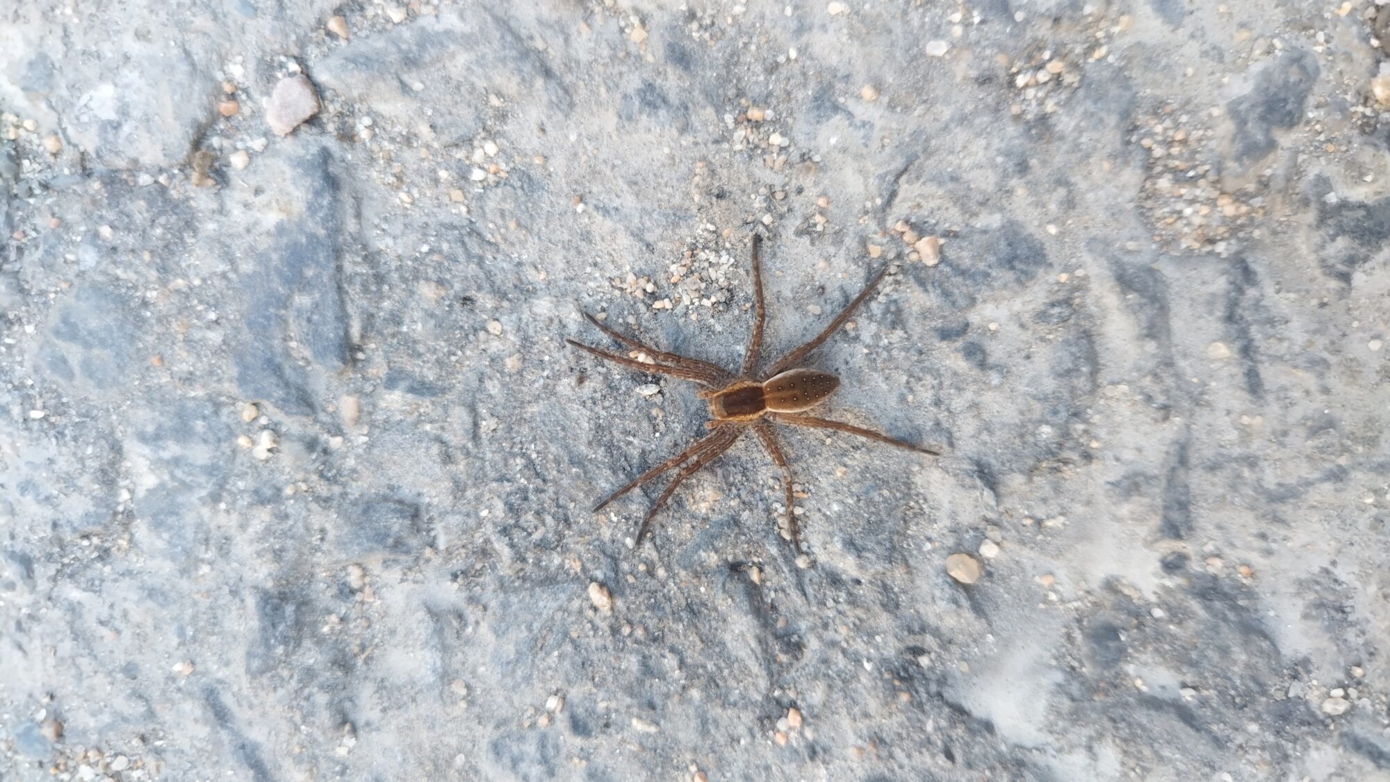 Valokuvaaja: Joonas Kylmäluoma