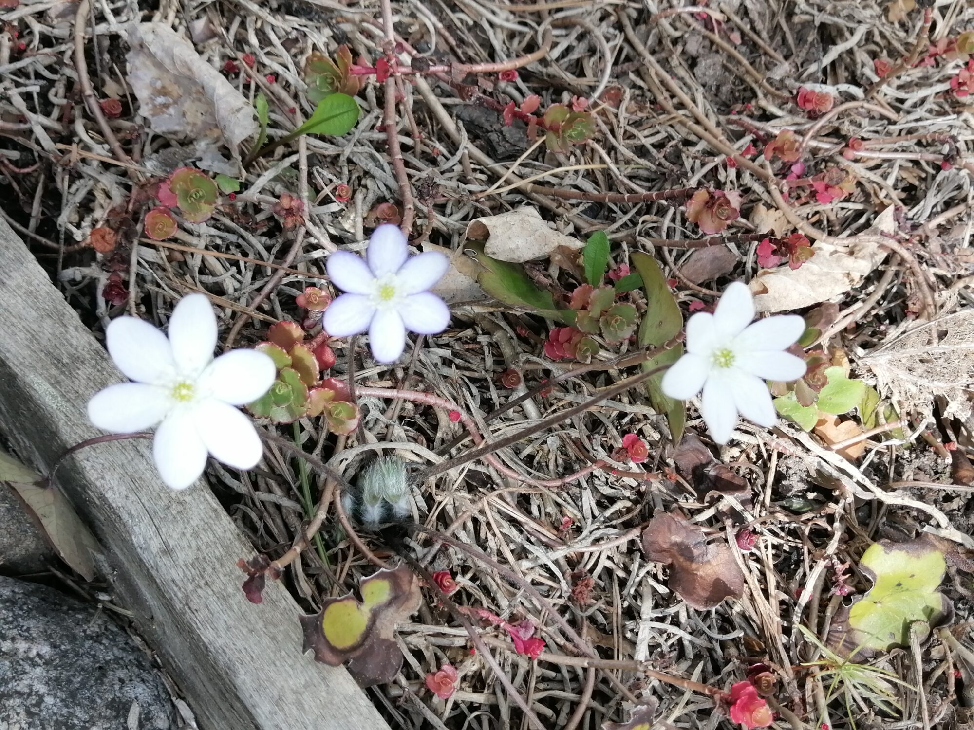 Valokuvaaja: Marita Prusti